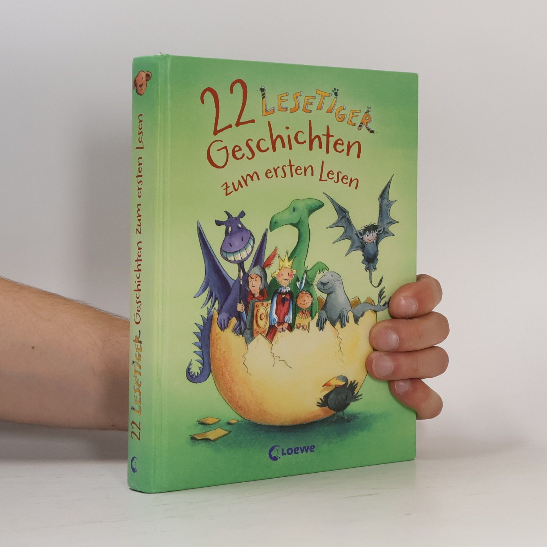 Collectif d'auteurs 22 Lesetiger-Geschichten zum ersten Lesen