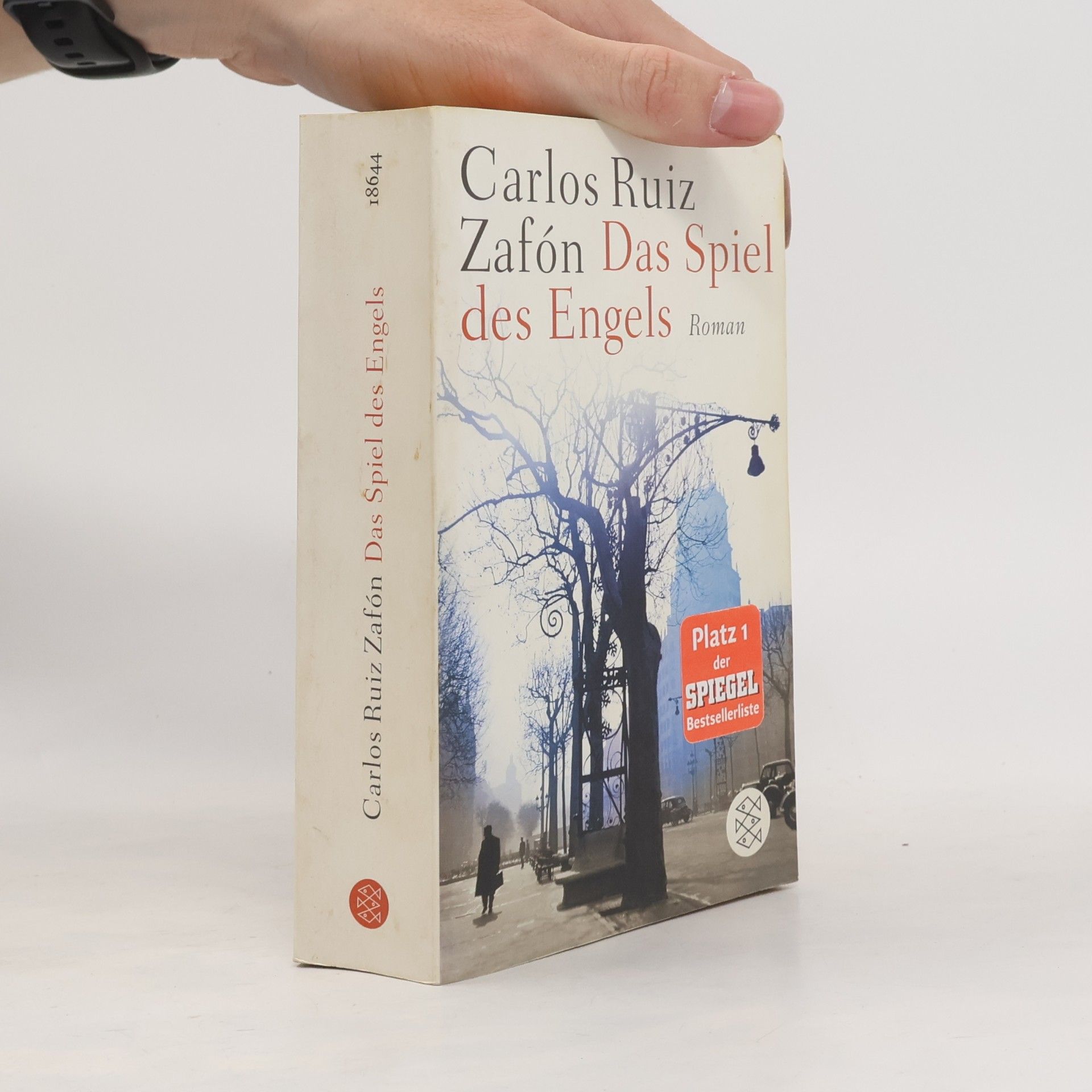 Carlos Ruiz Safon Das Spiel des Engels