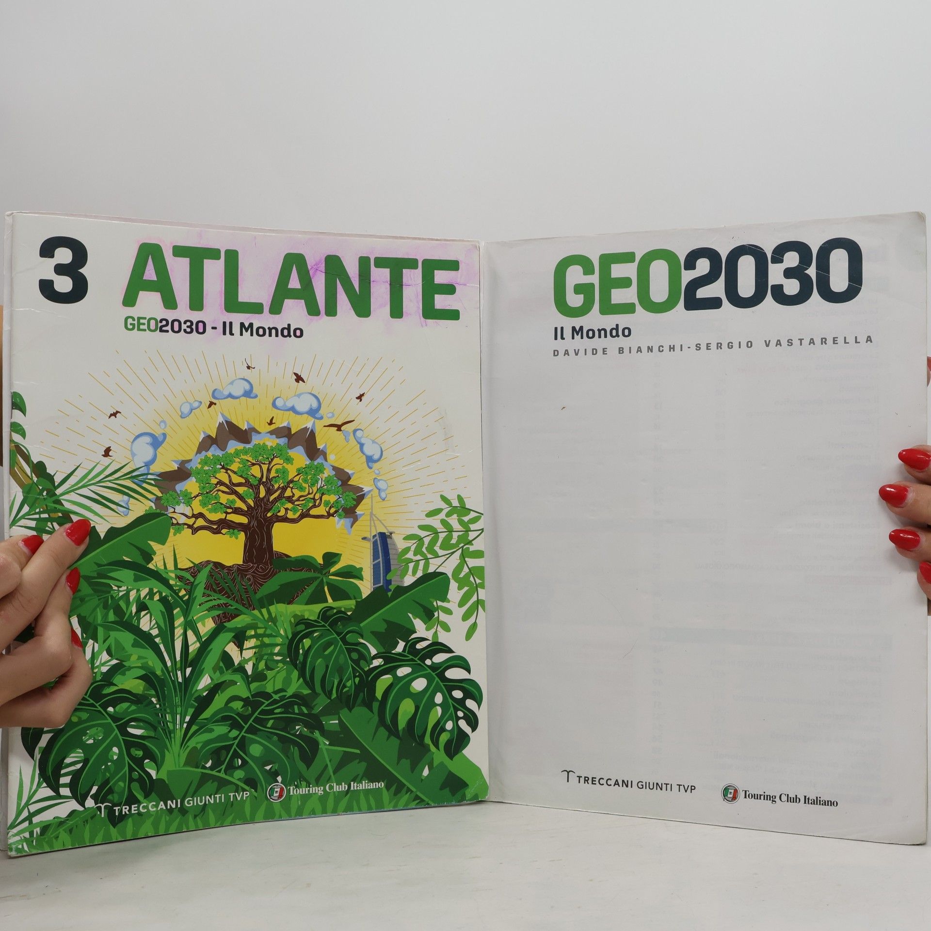Davide Bianchi  Geo2030 3. Il Mondo