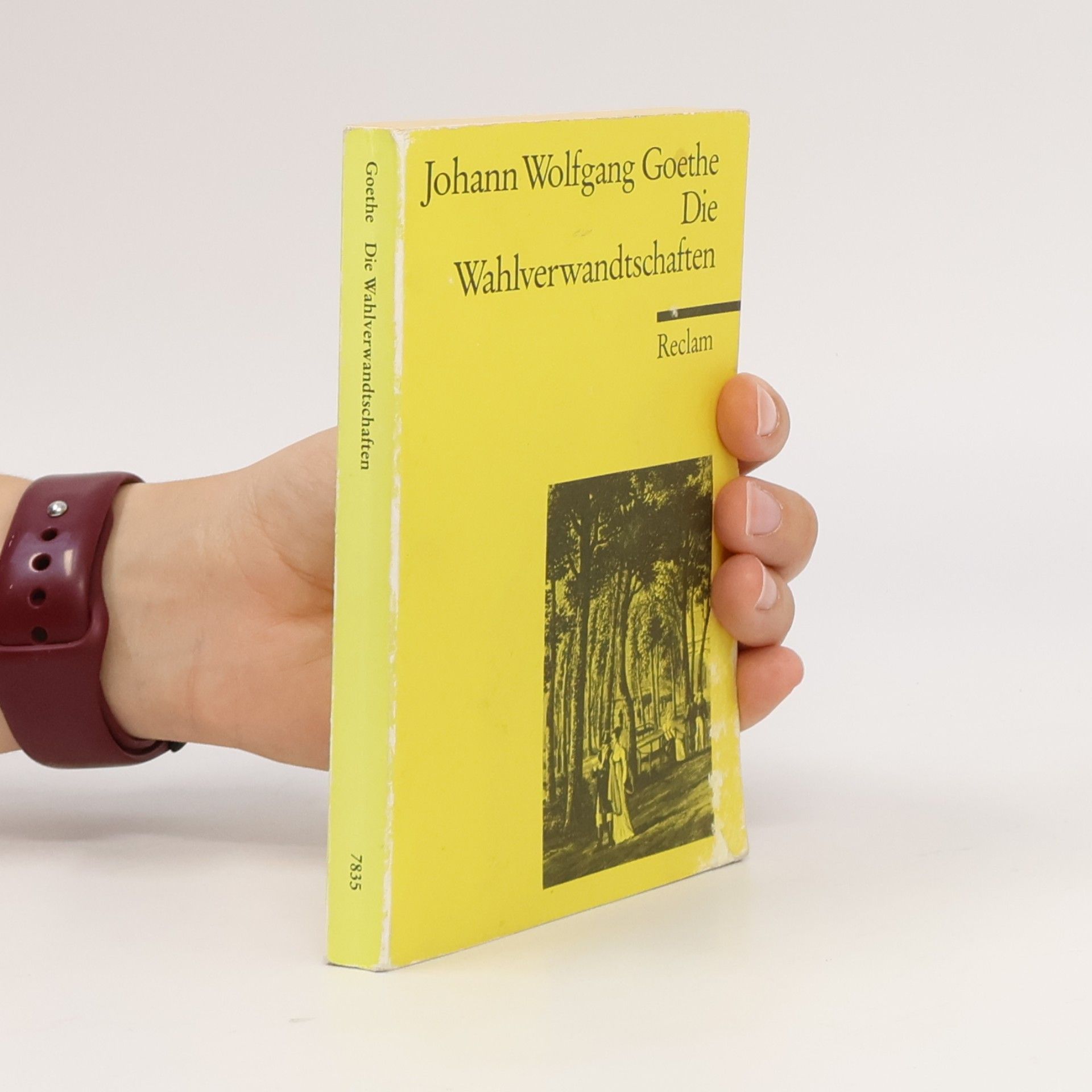 Johann Wolfgang von Goethe Die Wahlverwandtschaften