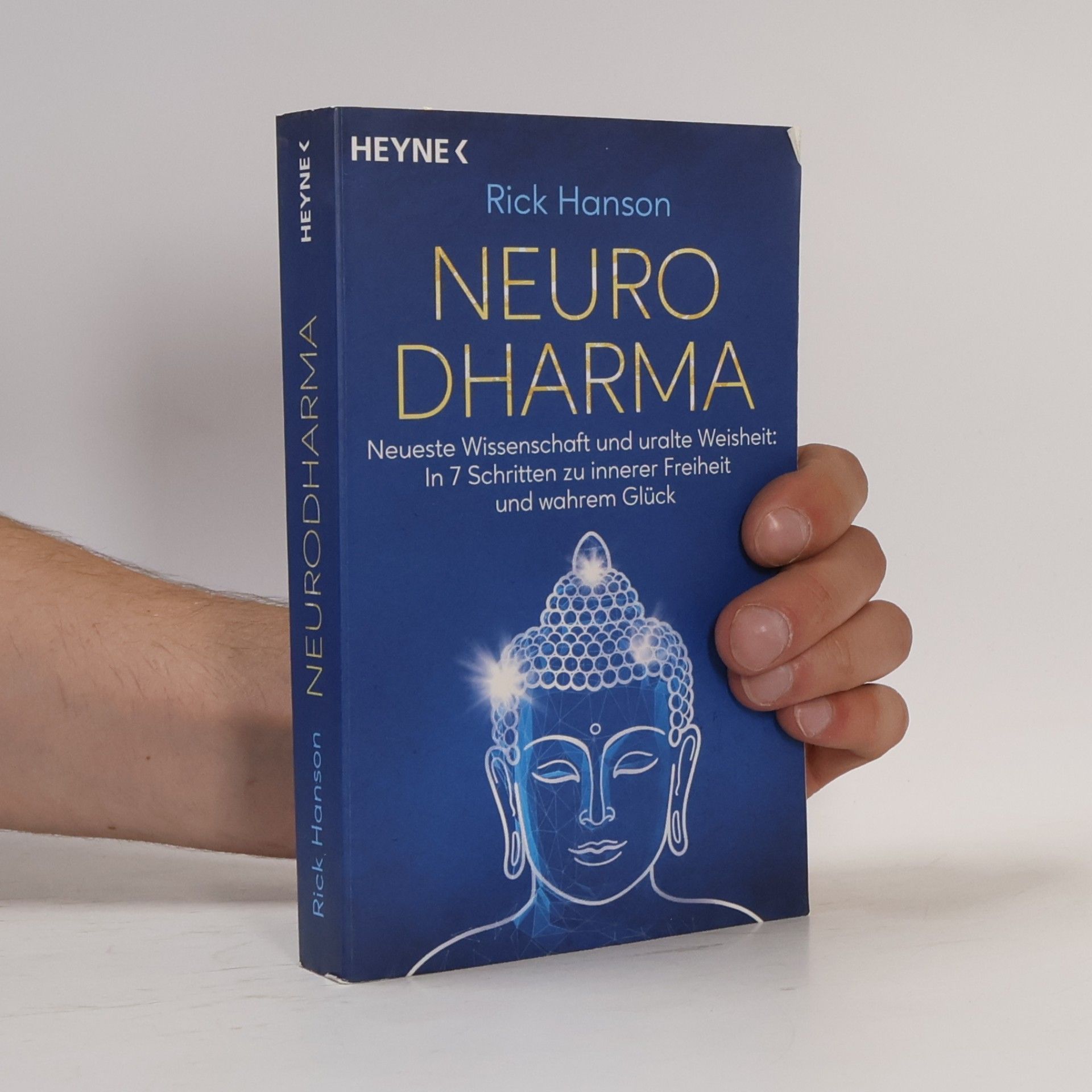 Rick Hanson NeuroDharma