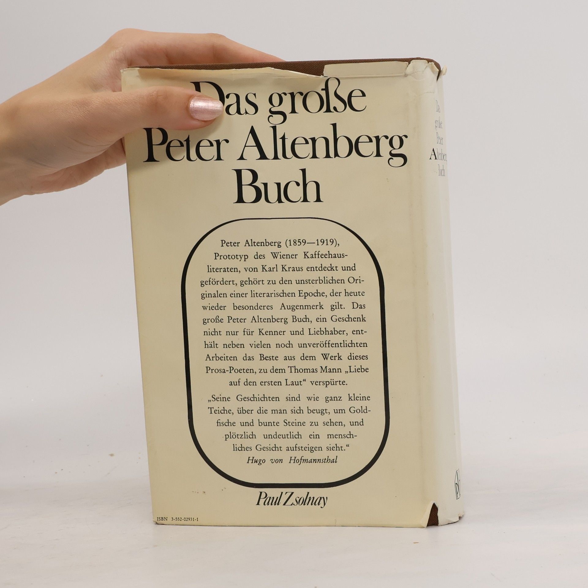 Peter Altenberg Das große Peter Altenberg Buch
