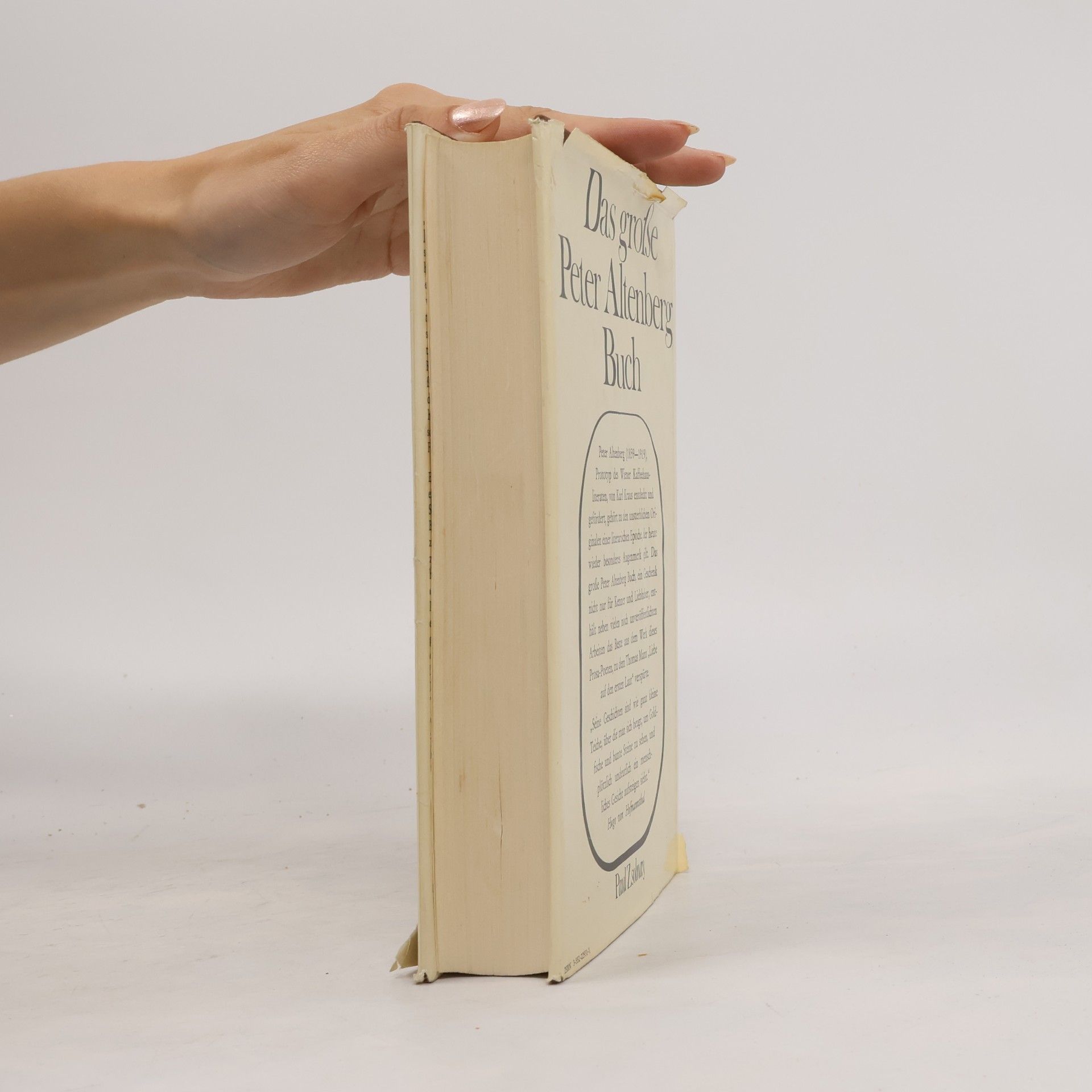 Peter Altenberg Das große Peter Altenberg Buch