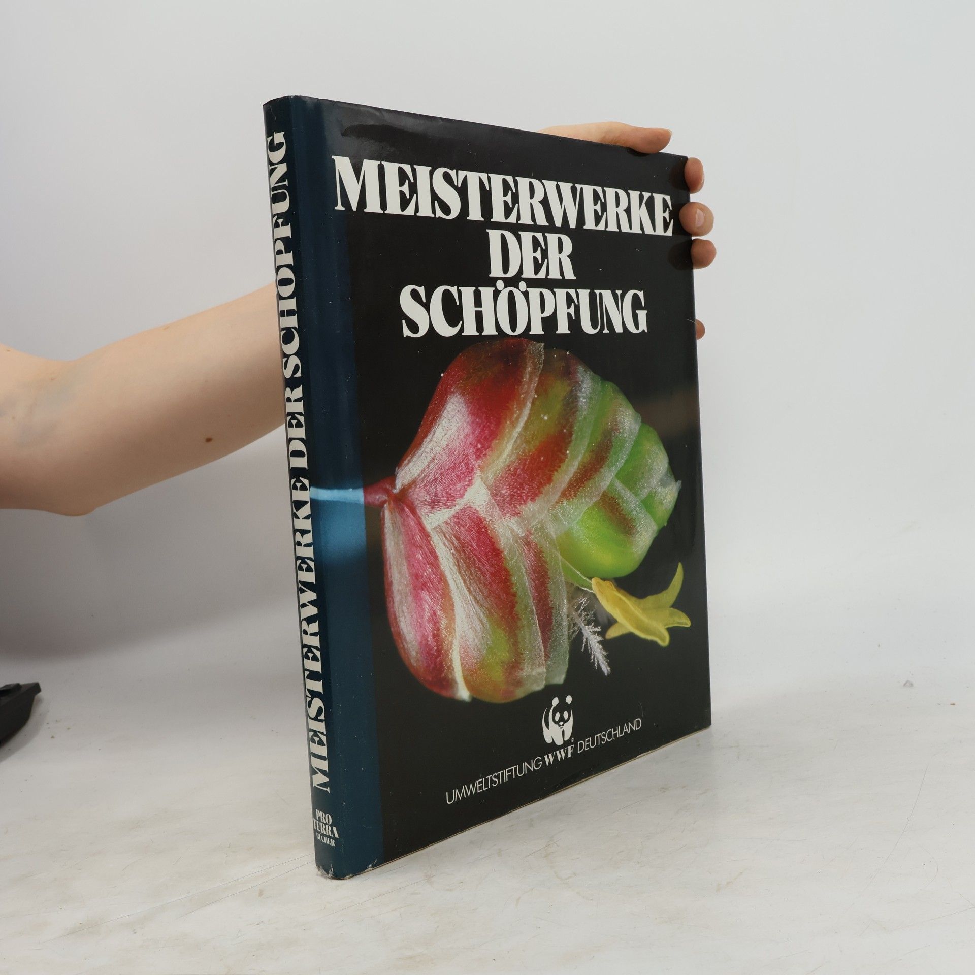 Autorenkollektiv Meisterwerke der Schöpfung