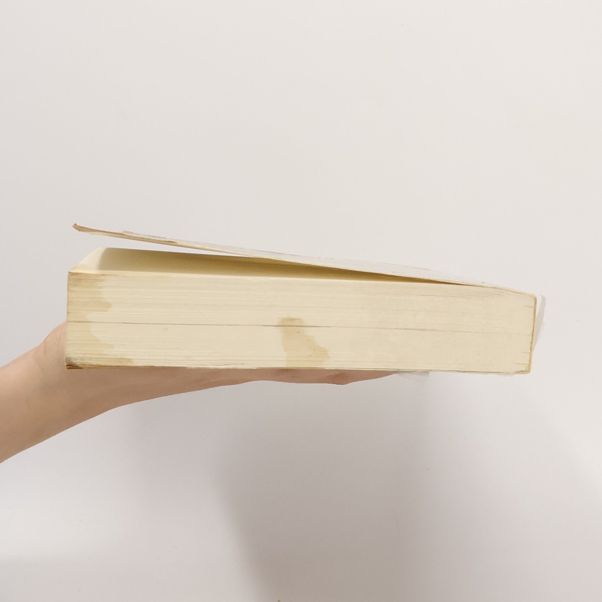 Anne Brassié Biographies sans masque: Robert Brasillach, ou, encore un instant de bonheur