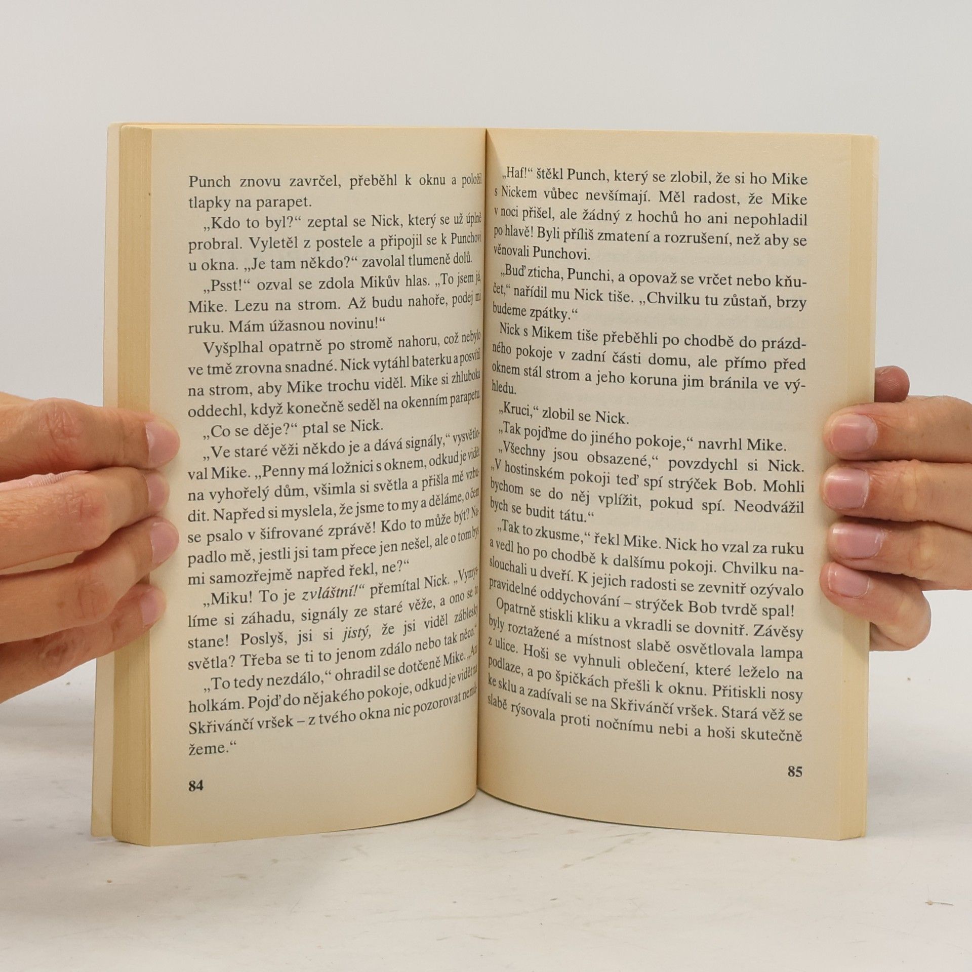 Enid Blyton Hádanka, která vůbec nebyla