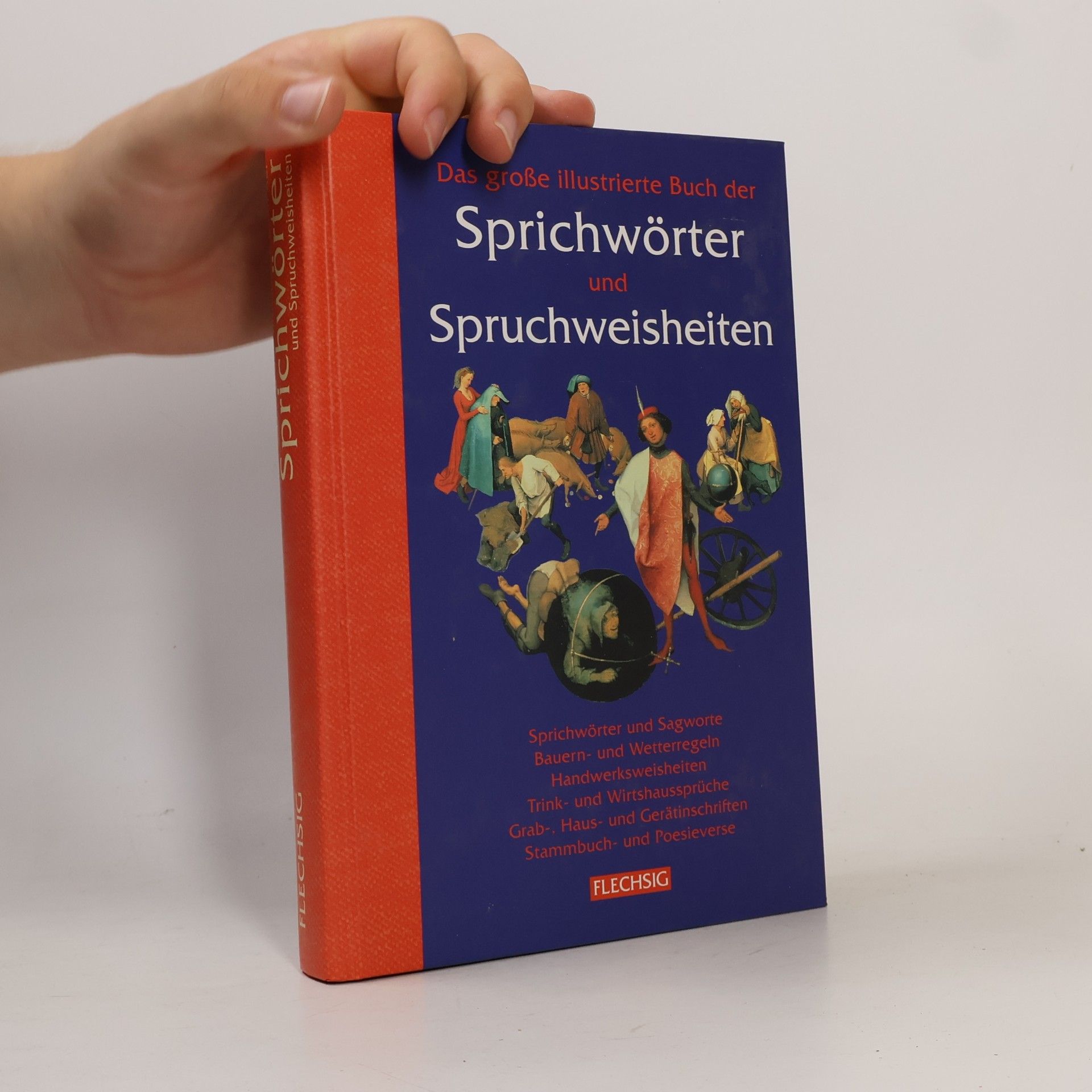 Karl August Fritz Das große illustrierte Buch der Sprichwörter und Spruchweisheiten