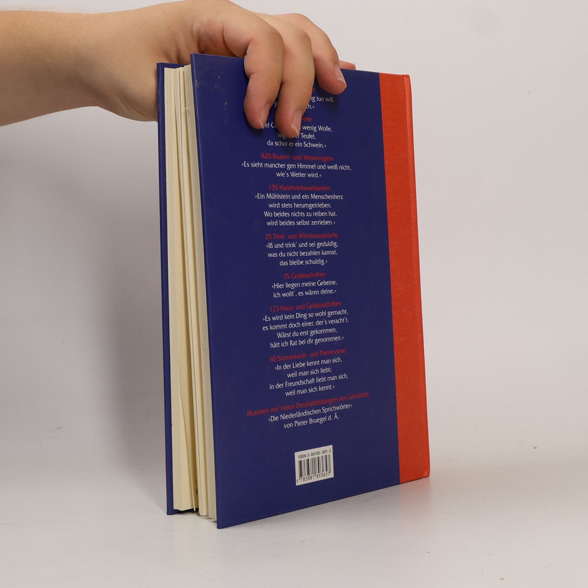 Karl August Fritz Das große illustrierte Buch der Sprichwörter und Spruchweisheiten
