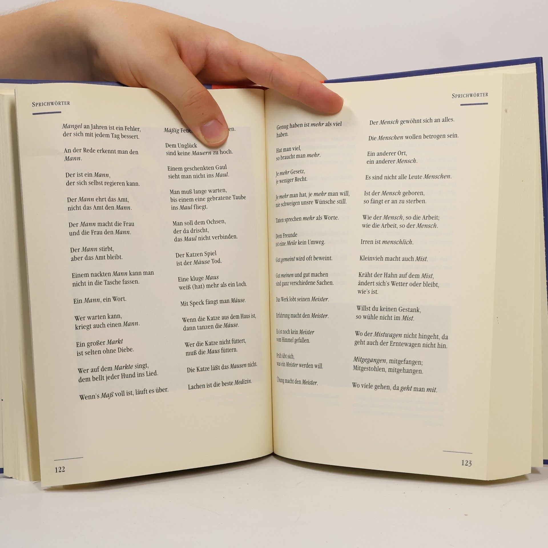Karl August Fritz Das große illustrierte Buch der Sprichwörter und Spruchweisheiten