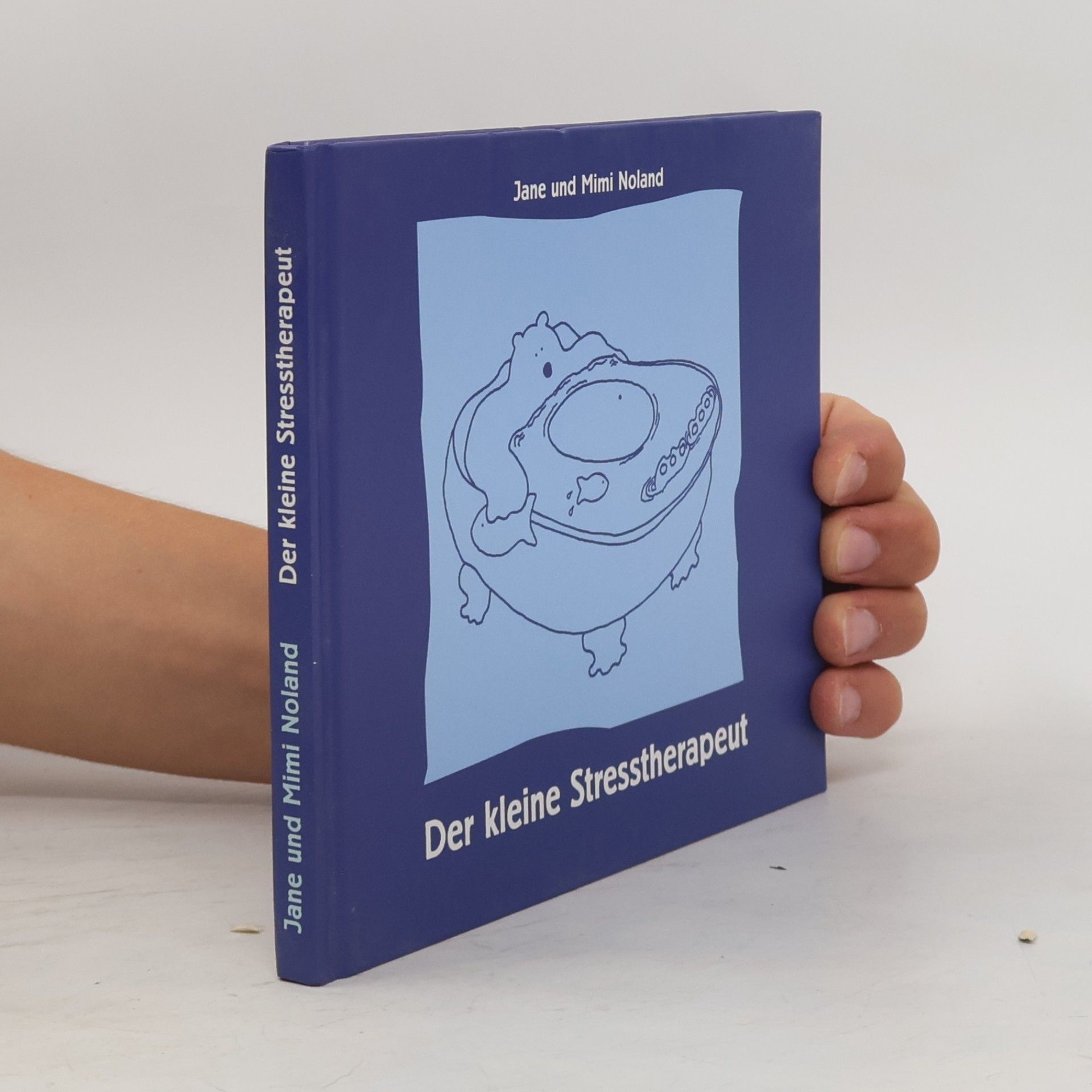 Jane Noland Der kleine Stresstherapeut