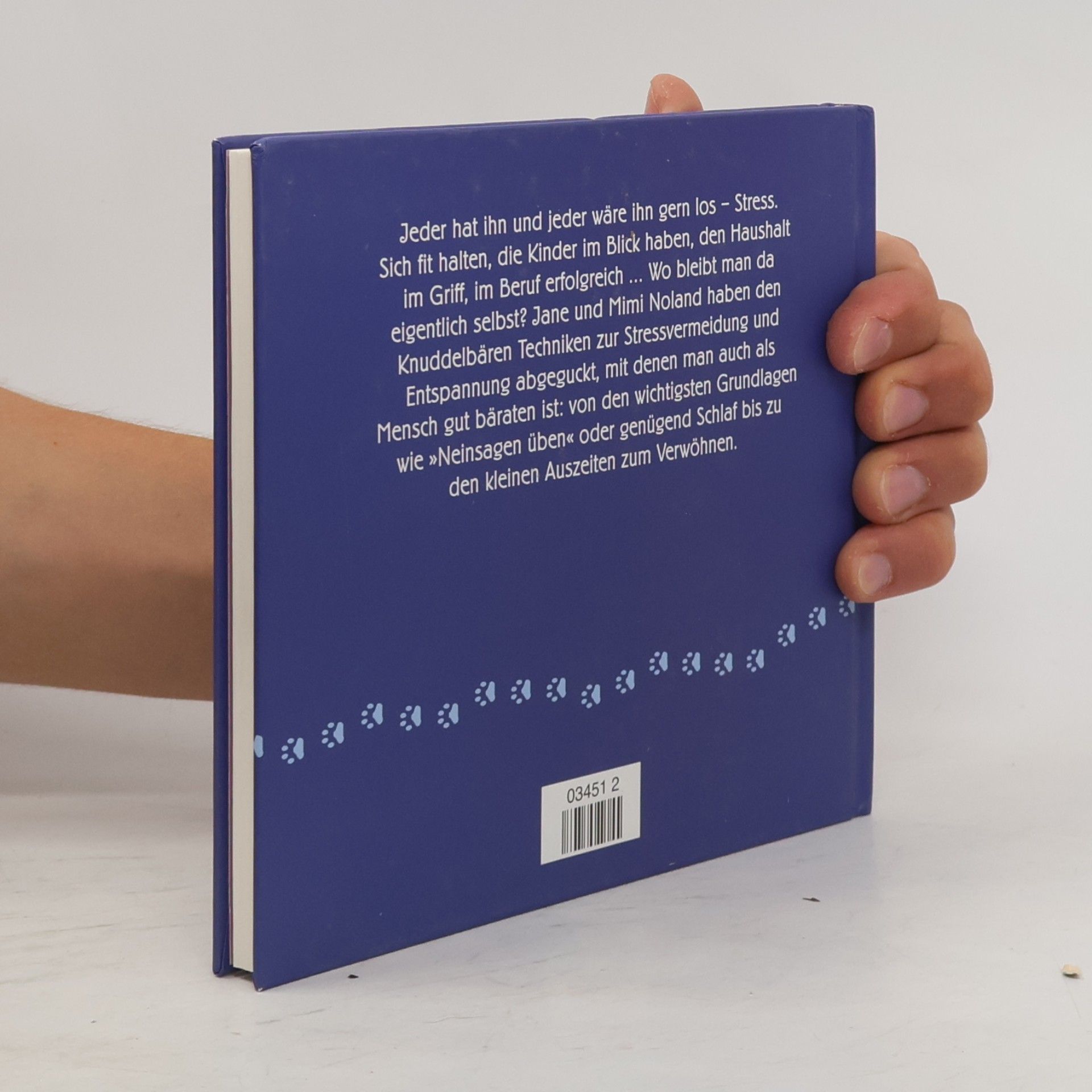 Jane Noland Der kleine Stresstherapeut