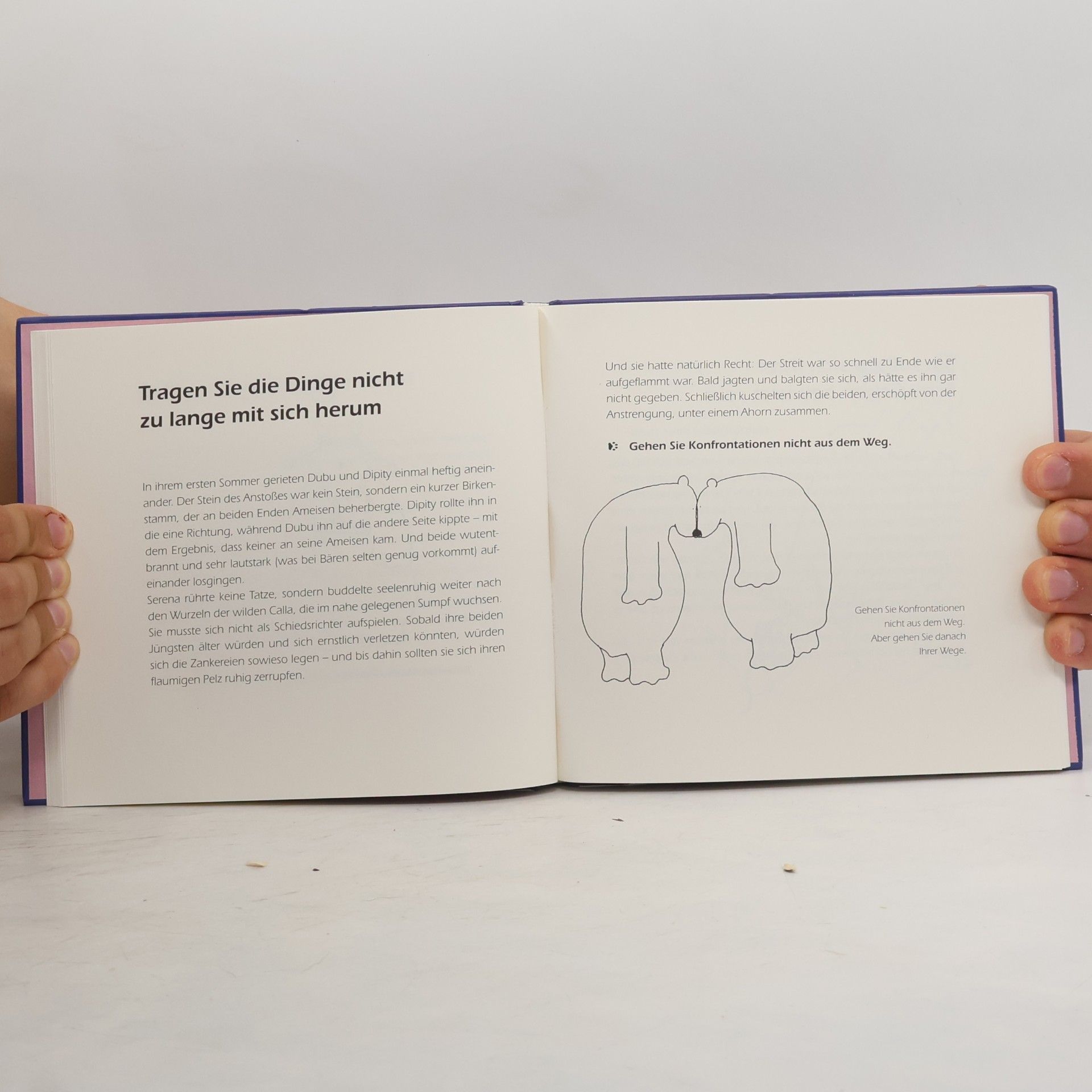 Jane Noland Der kleine Stresstherapeut