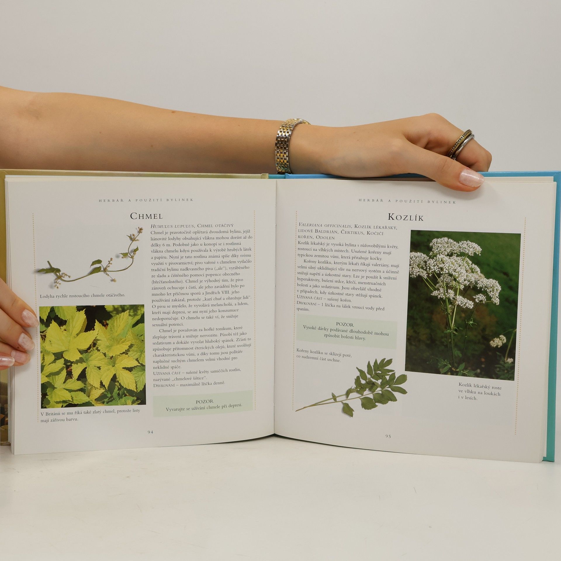 Sue Hawkey Přírodní léčba : homeopatie, bylinky, relaxace, stres
