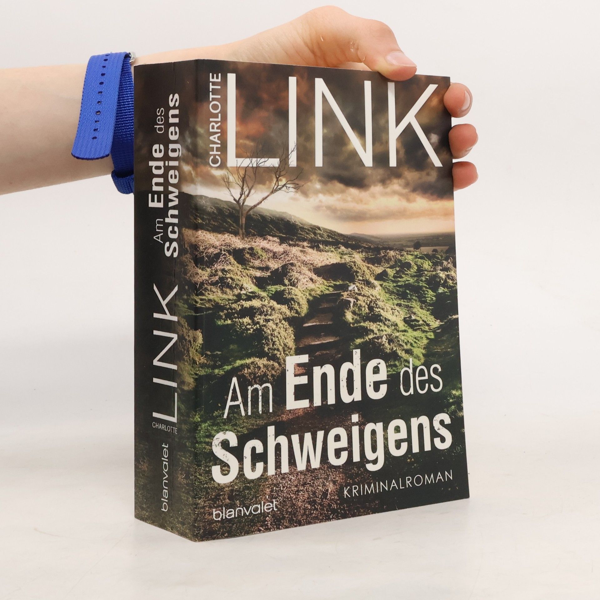 Charlotte Link Am Ende des Schweigens