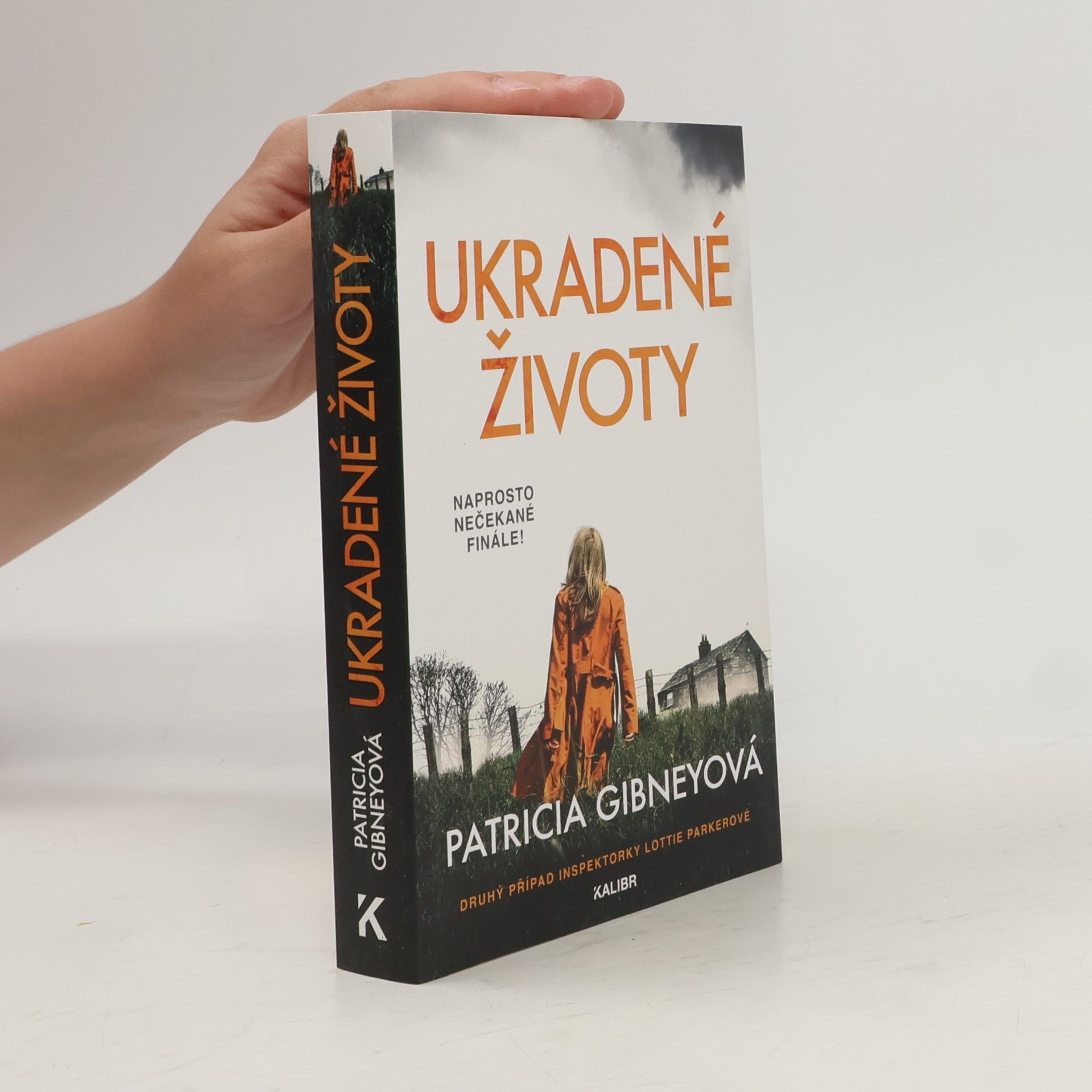 Patricia Gibney Ukradené životy