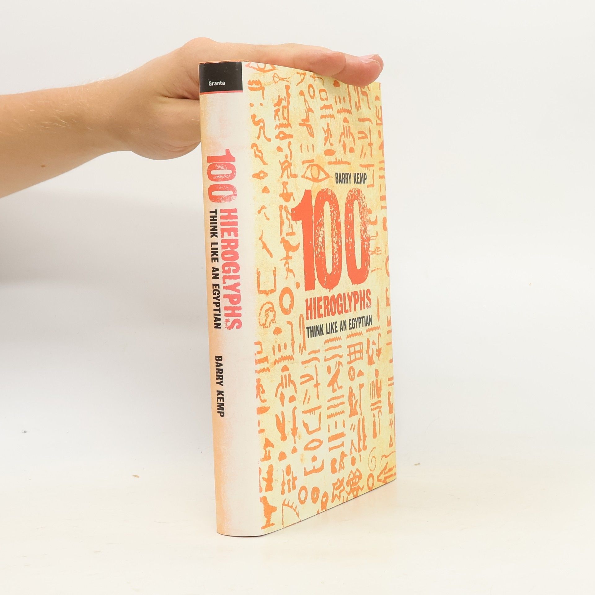 Barry J. Kemp 100 Hieroglyphs