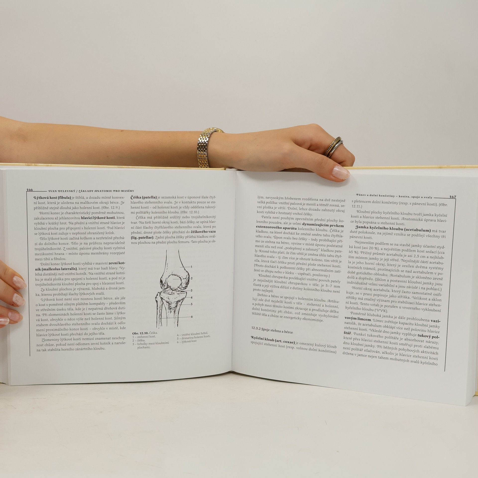 Ivan Dylevský Základy anatomie