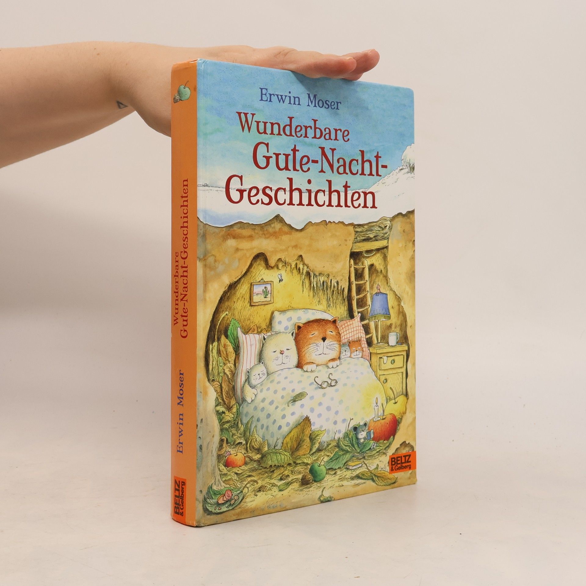 Wunderbare Gute-Nacht-Geschichten