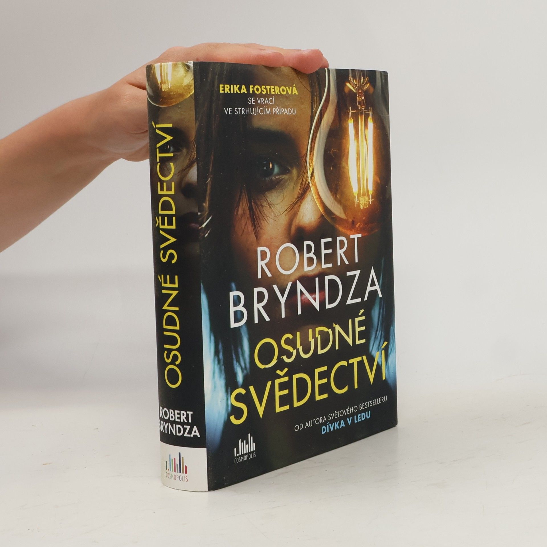 Robert Bryndza Osudné svědectví