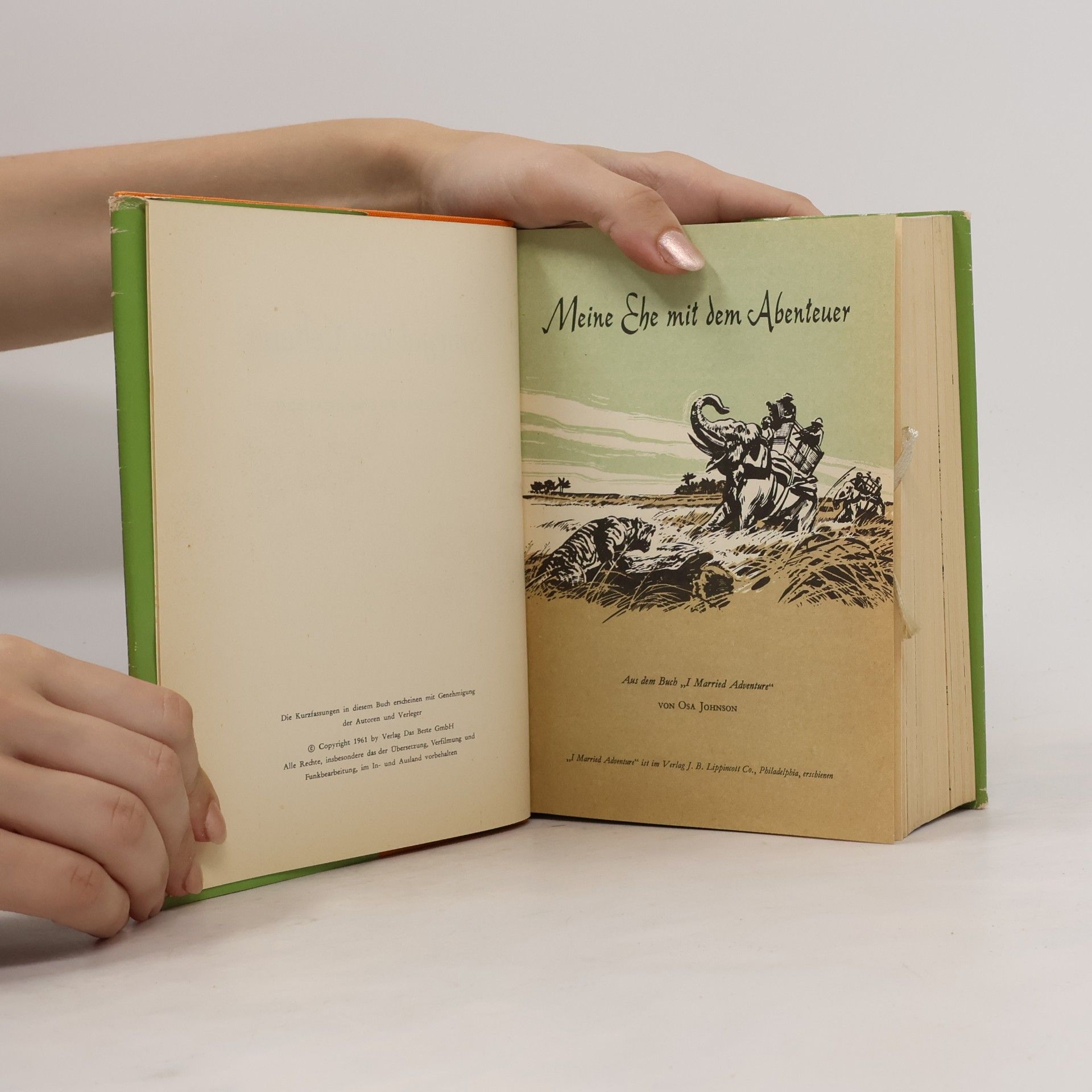 Autorenkollektiv Spiegel des Lebens. 20 Erfolgreiche Buchauszüge