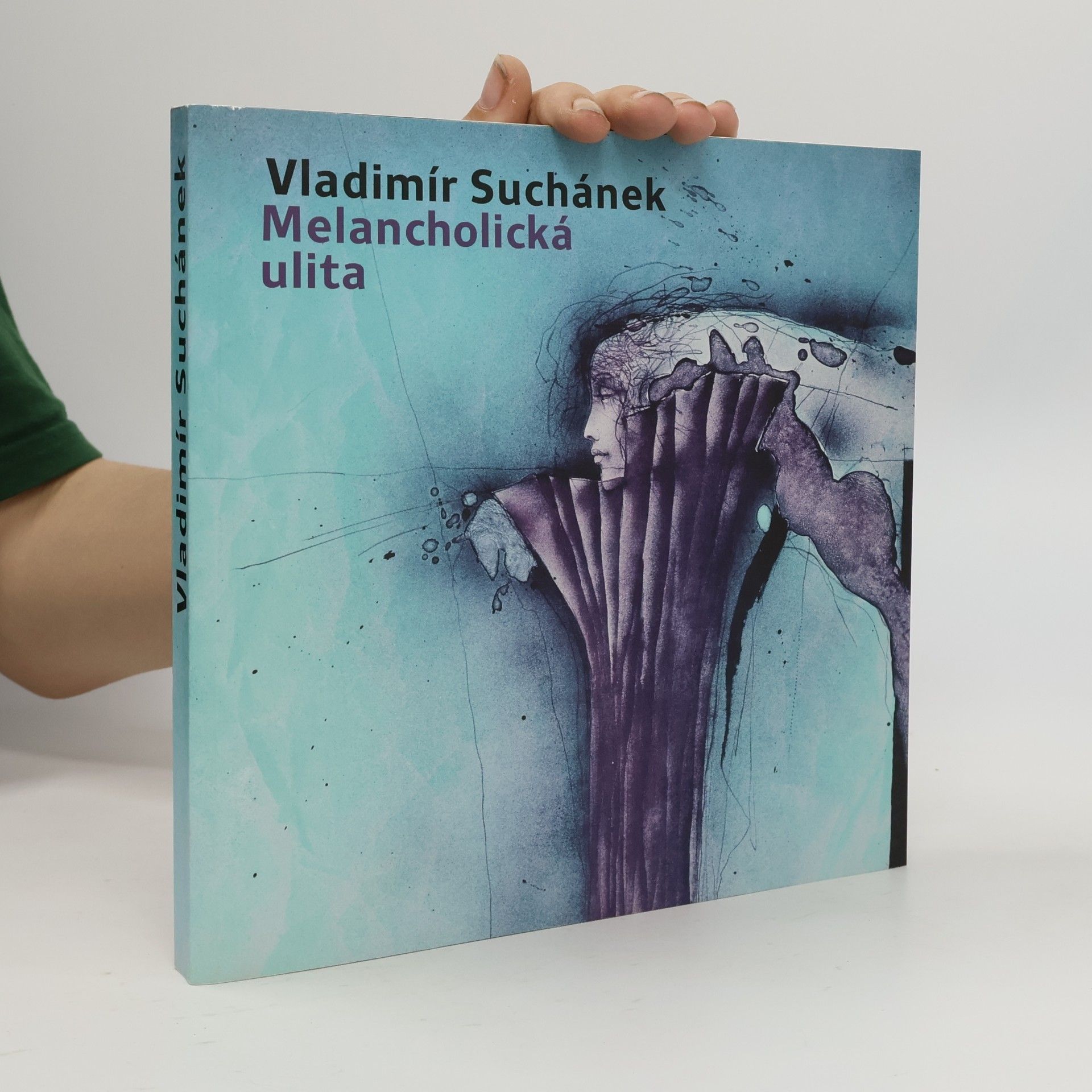 Filip Wittlich Vladimír Suchánek: Melancholická ulita