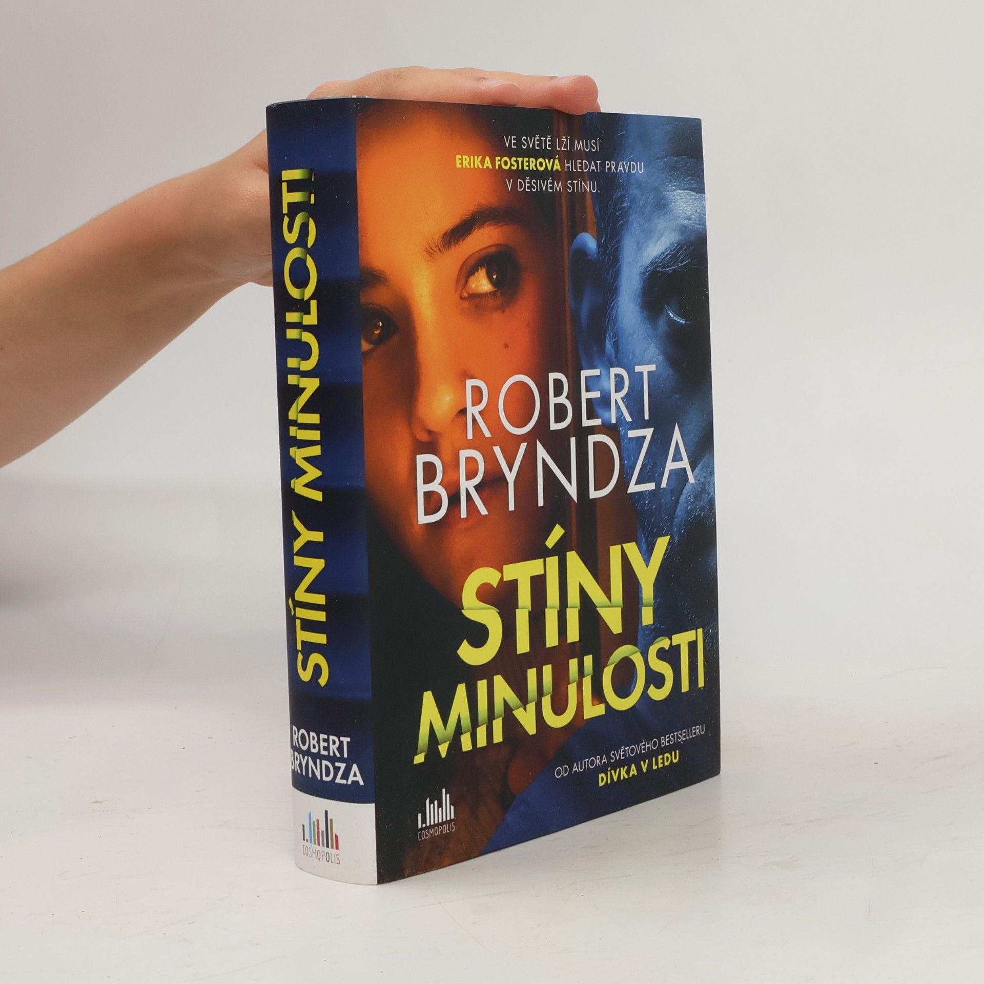 Robert Bryndza Stíny minulosti