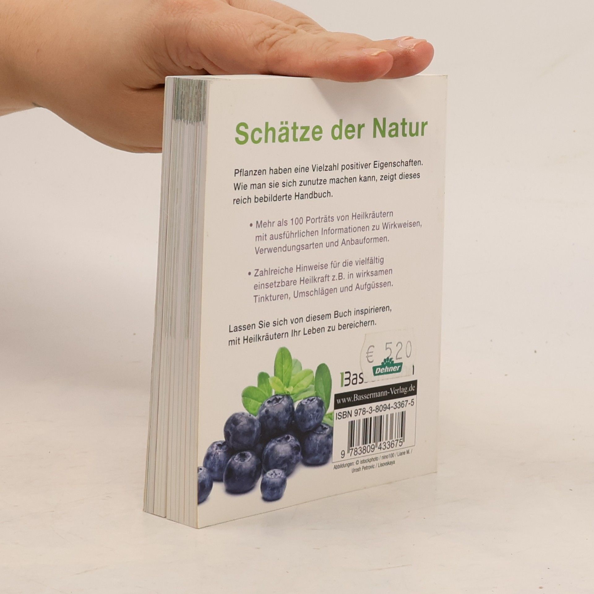 Lesley Bremness Handbuch Kräuter