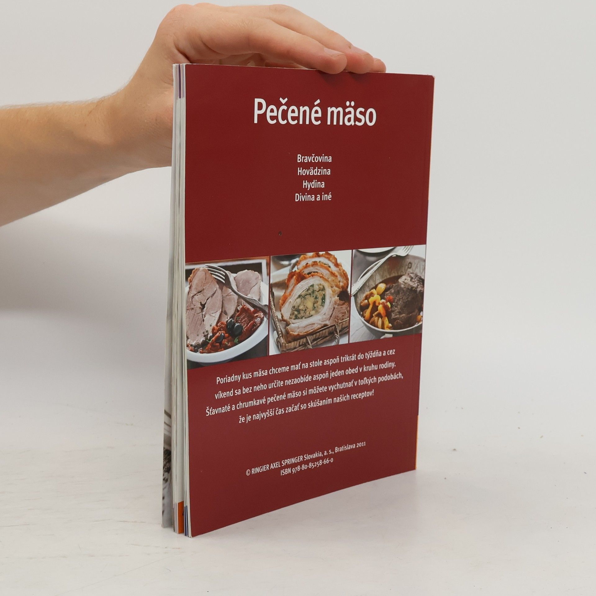 Kolektiv autorů Pečené mäso