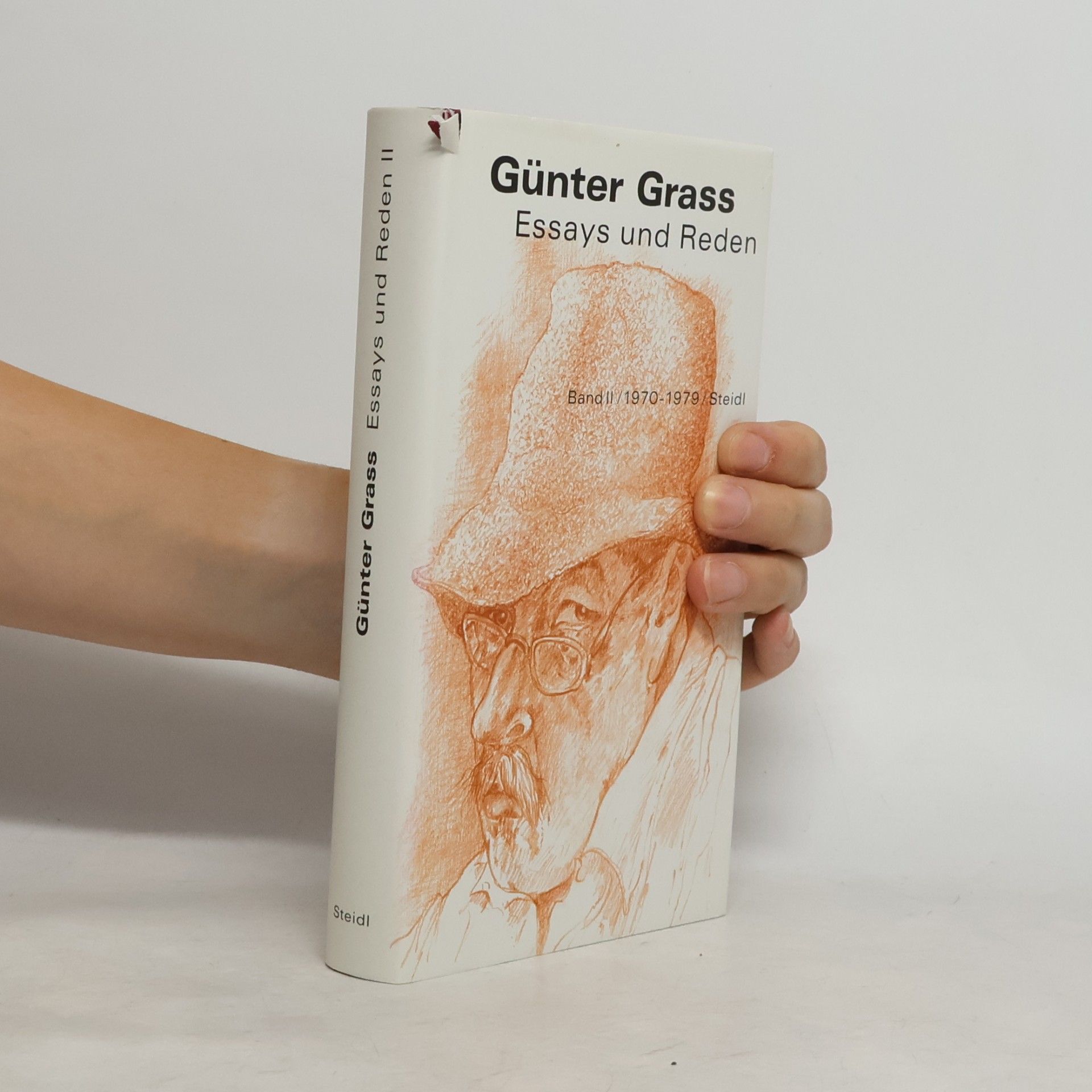 Günter Grass Essays und Reden