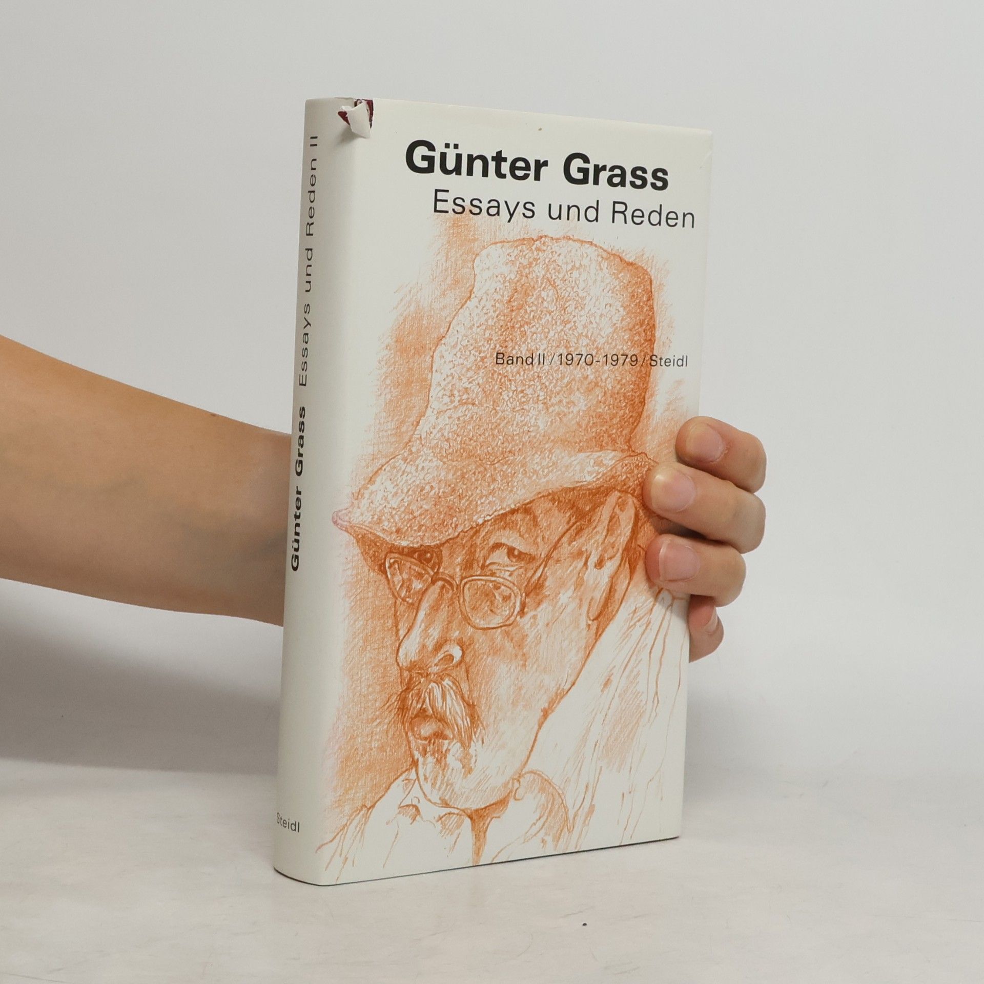 Günter Grass Essays und Reden