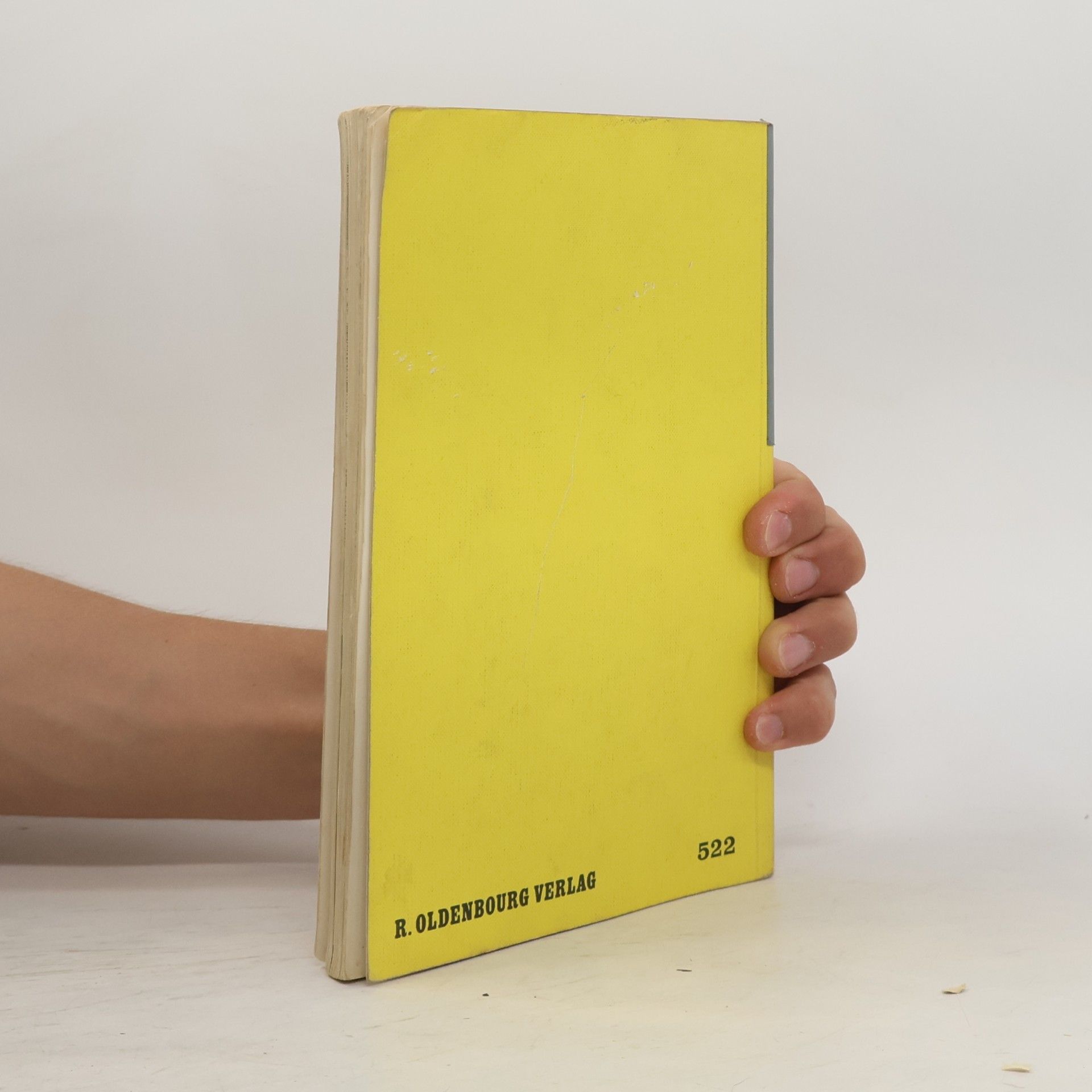Rupert Hirschenauer Verstehen und Gestalten 5