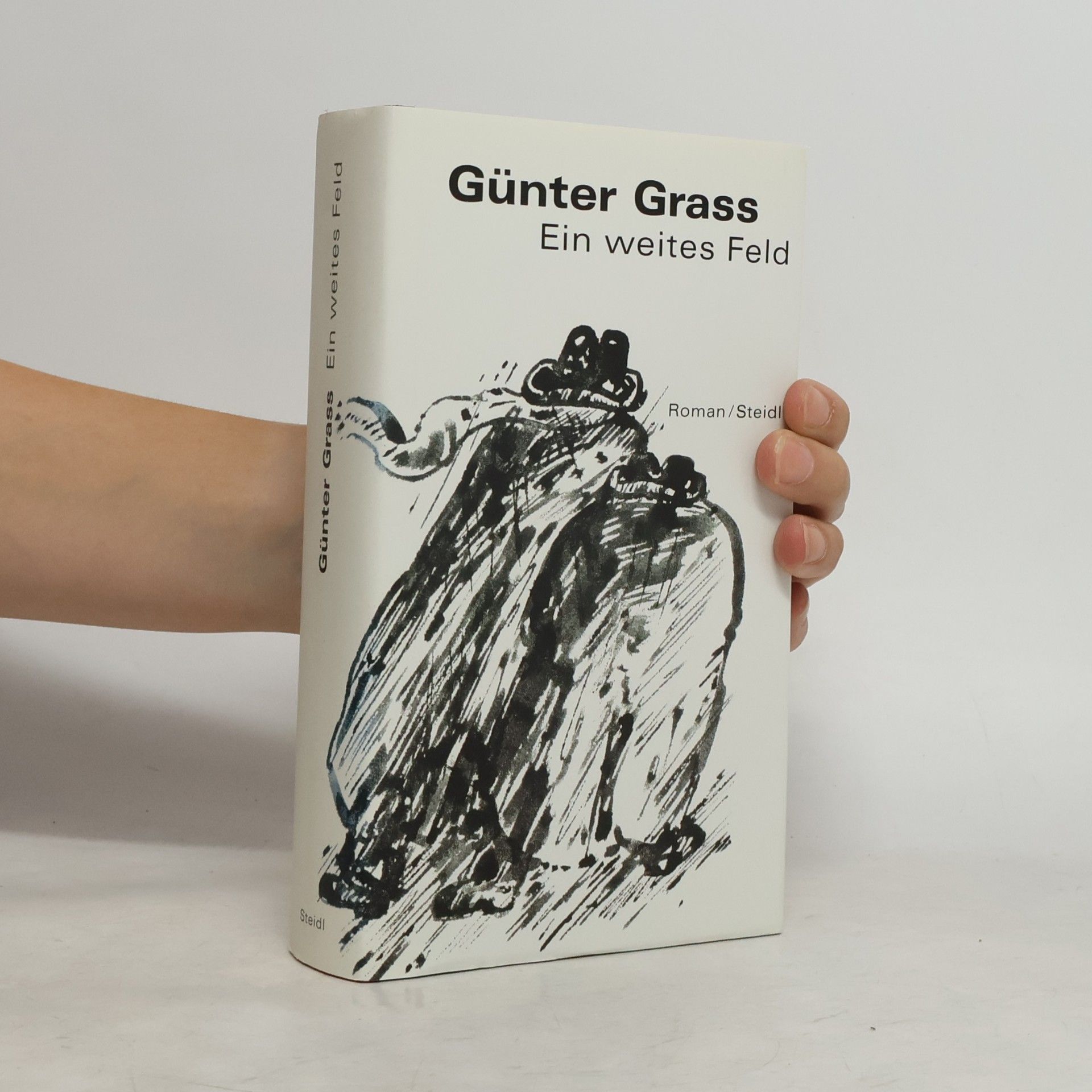 Günter Grass Werkausgabe 13. Ein weites Feld