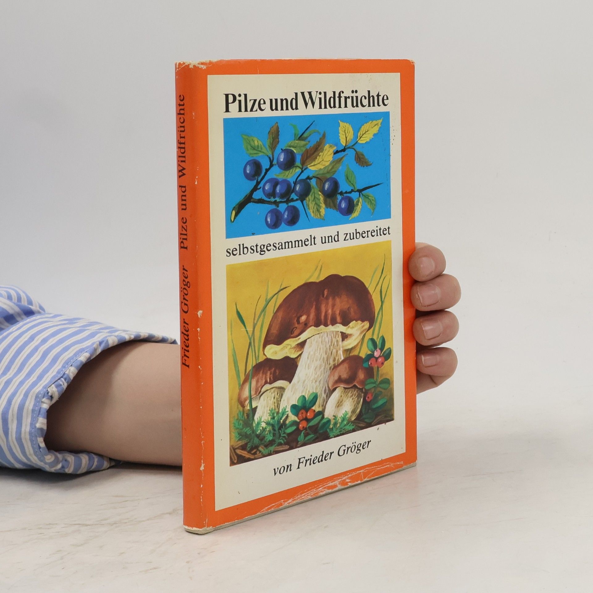 Frieder Gröger Pilze und Wildfrüchte