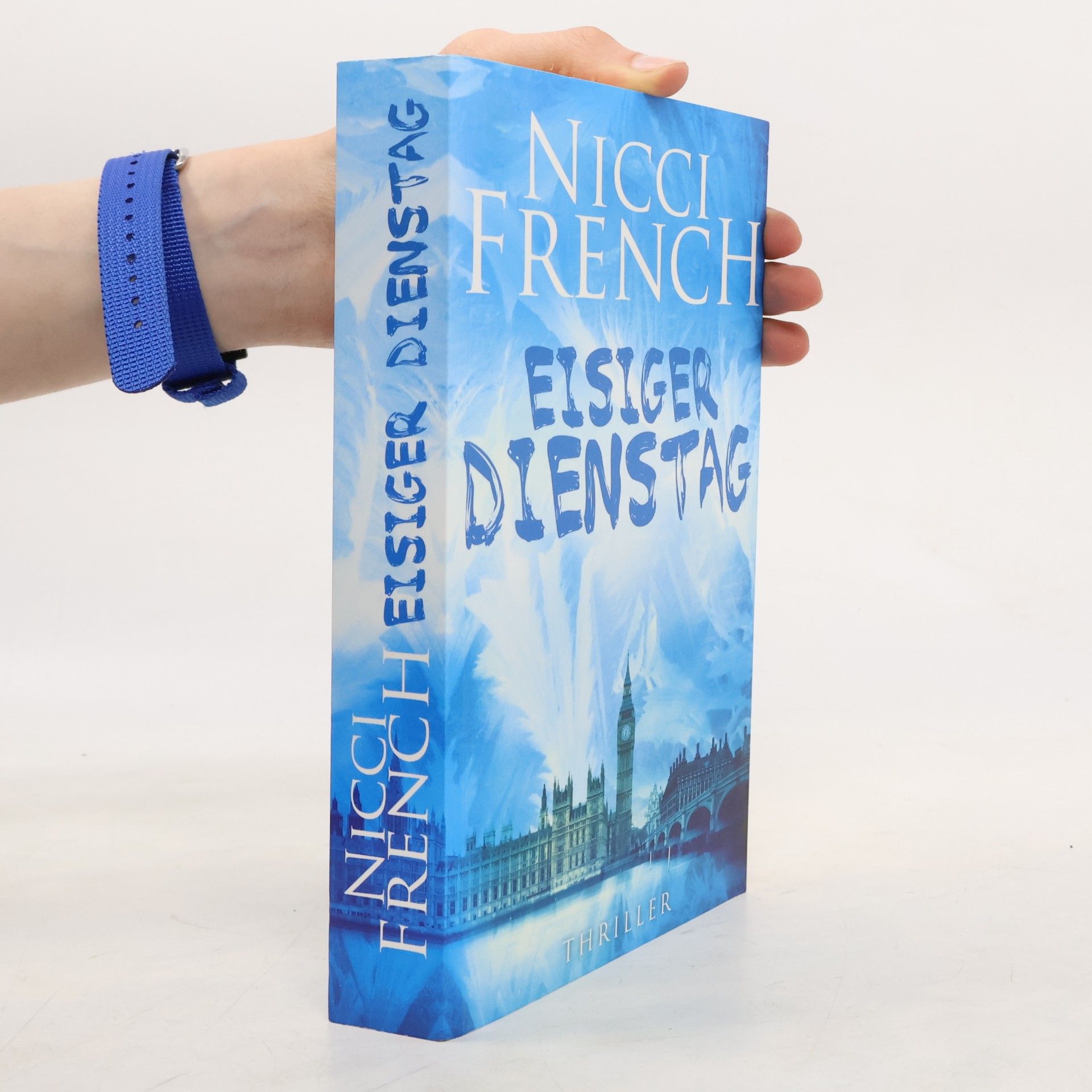 Nicci French Eisiger Dienstag