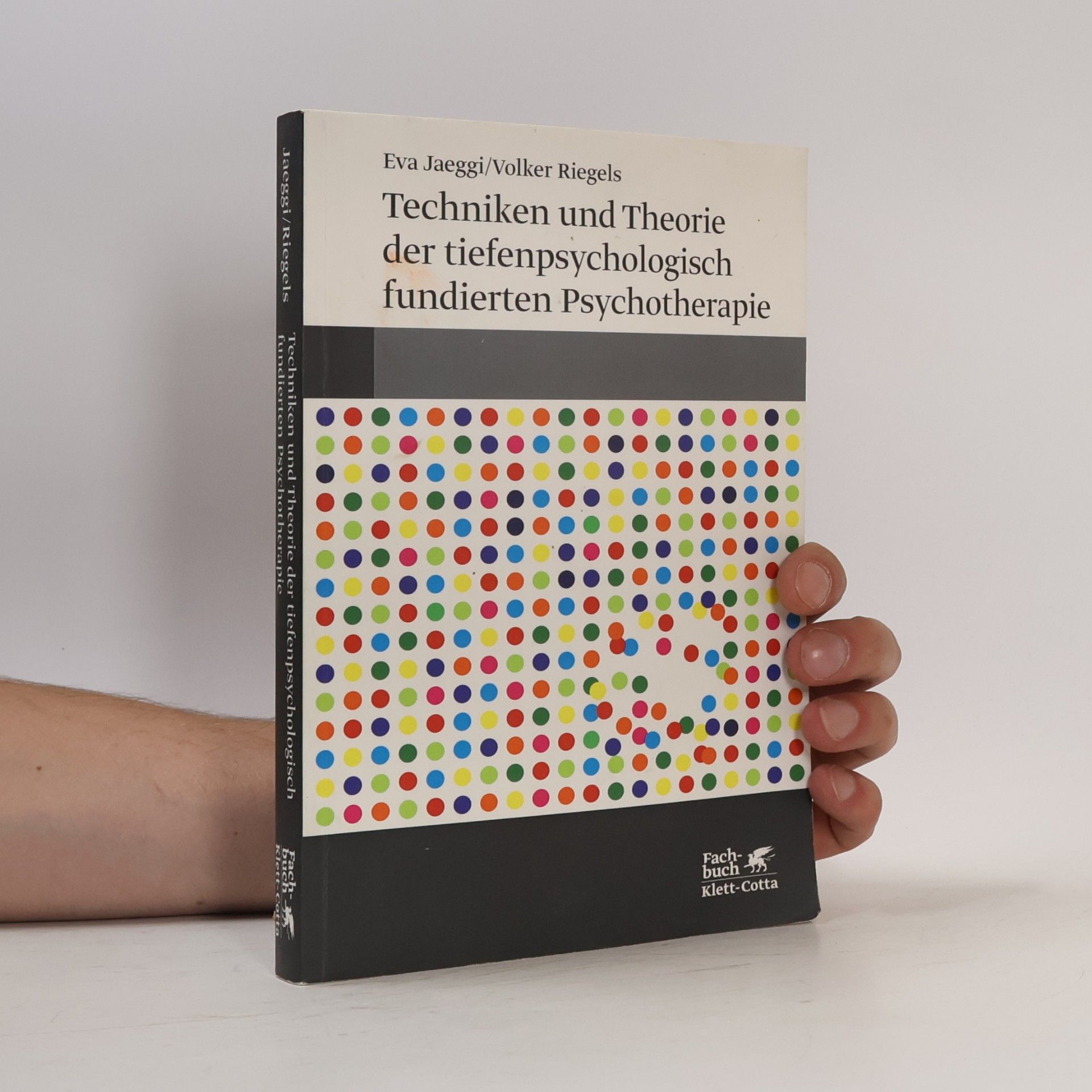 Volker Riegels Techniken und Theorie der tiefenpsychologisch fundierten Psychotherapie