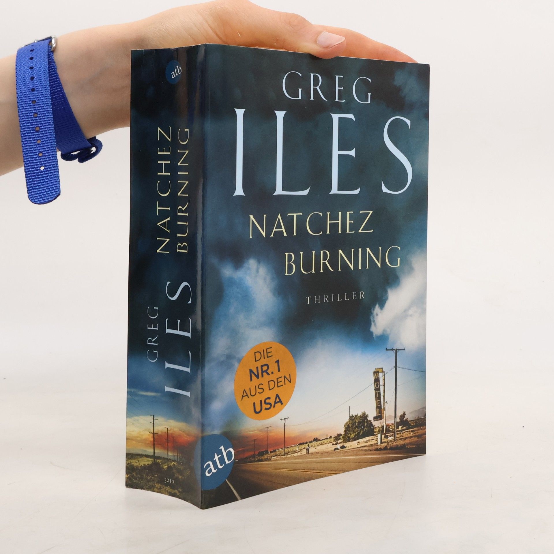Greg Iles Natchez burning