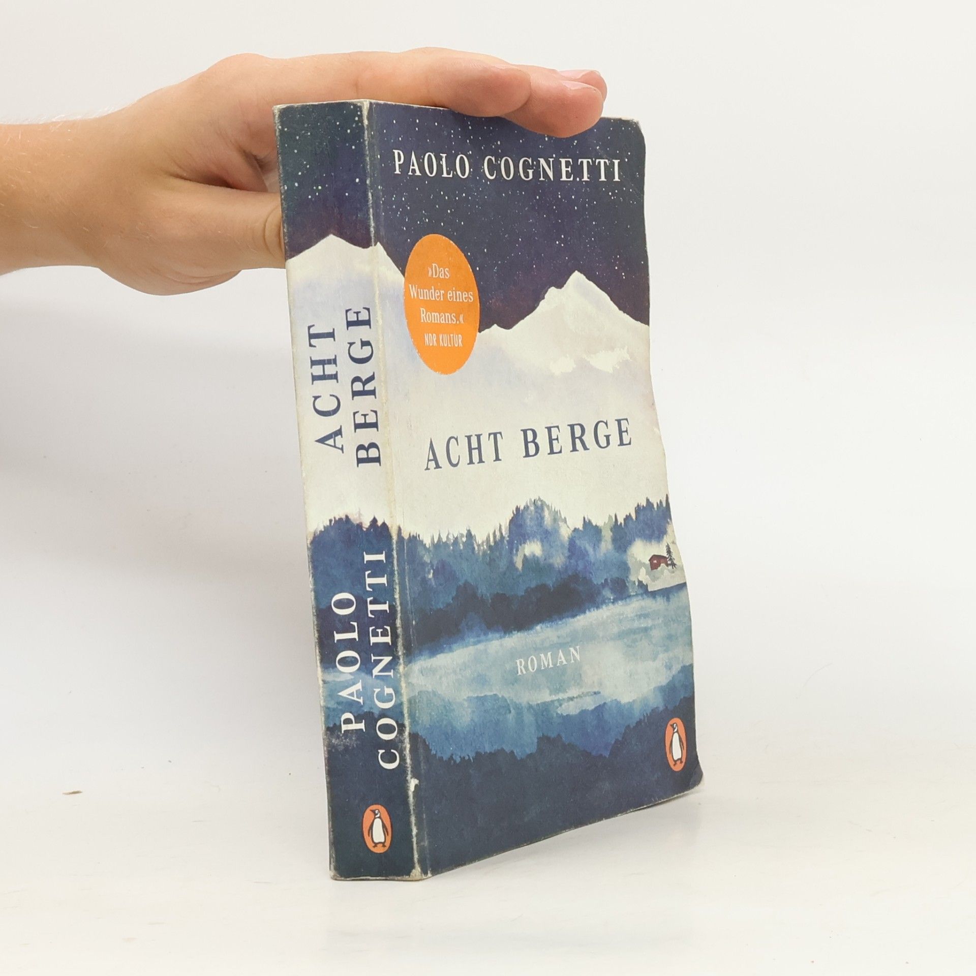 Paolo Cognetti Acht Berge