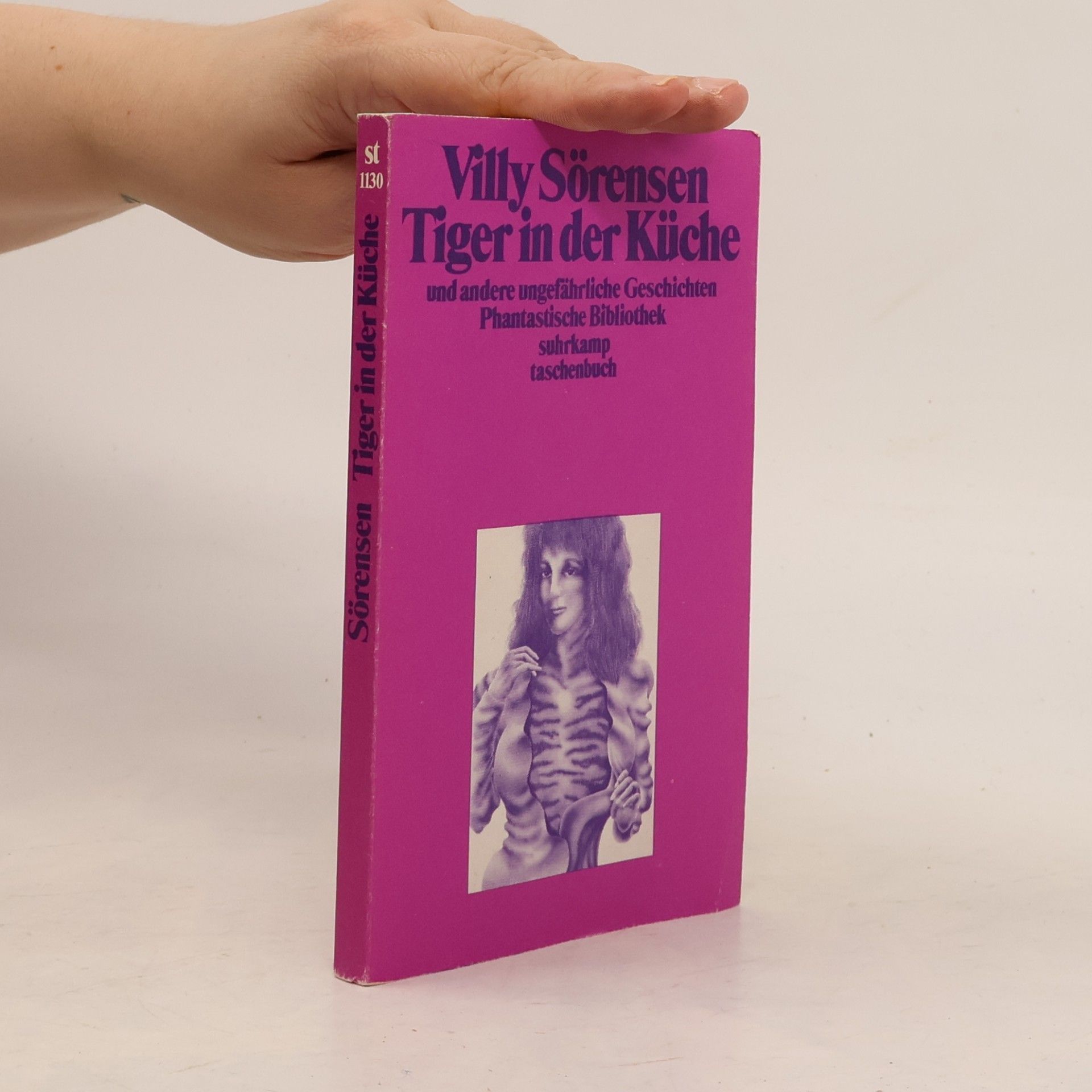 Villy Sørensen Tiger in der Küche und andere ungefährliche Geschichten