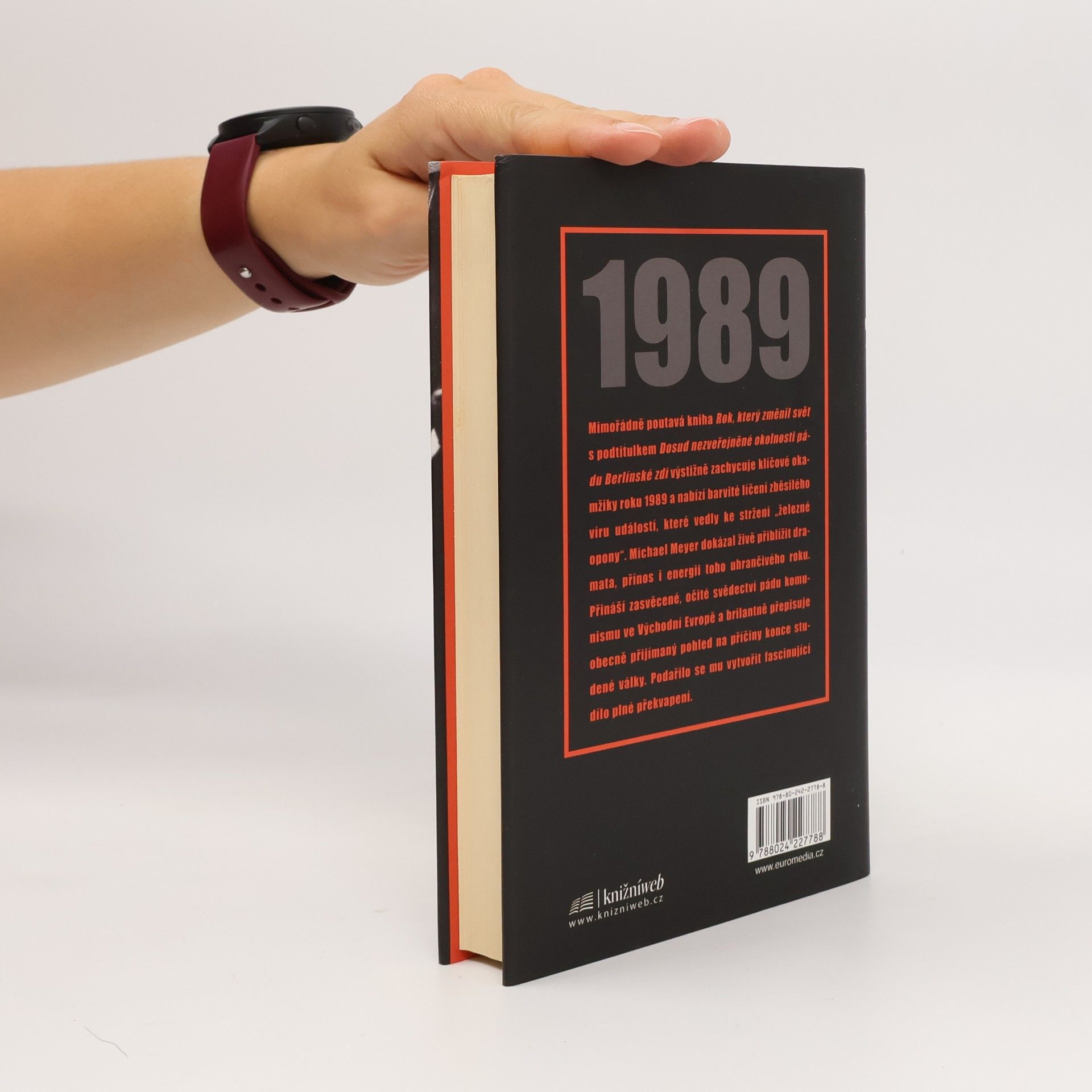 Michael Meyer-Sach Rok, který změnil svět: 1989. Dosud nezveřejněné okolnosti pádu Berlínské zdi
