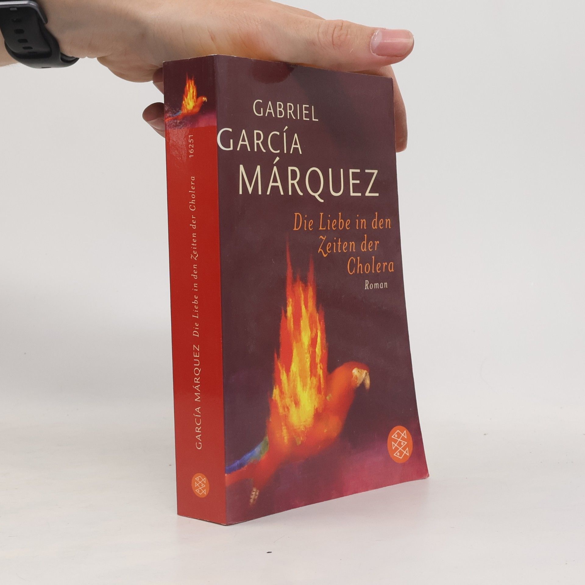 Gabriel García Márquez Die Liebe in den Zeiten der Cholera
