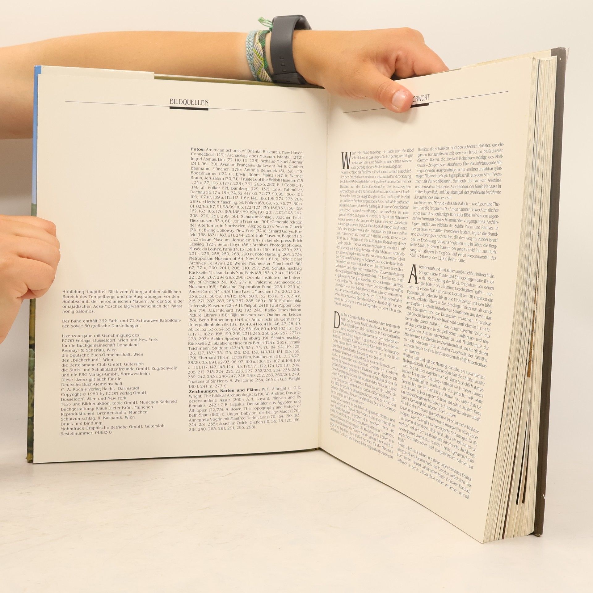 Werner Keller Und die Bibel hat doch recht