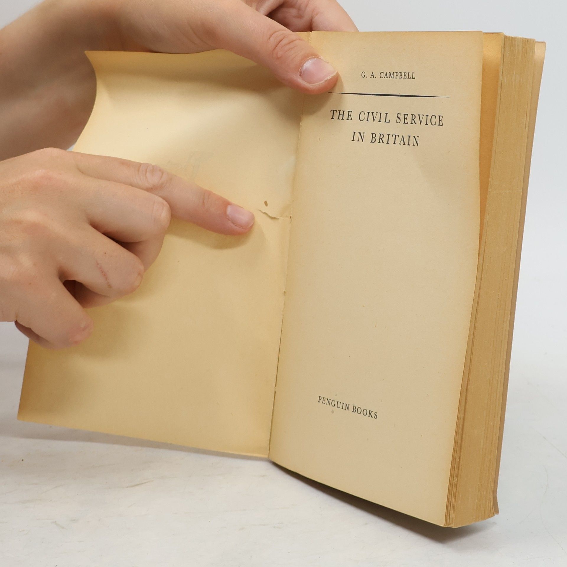 G. A. Campbell The Civil Service in Britain