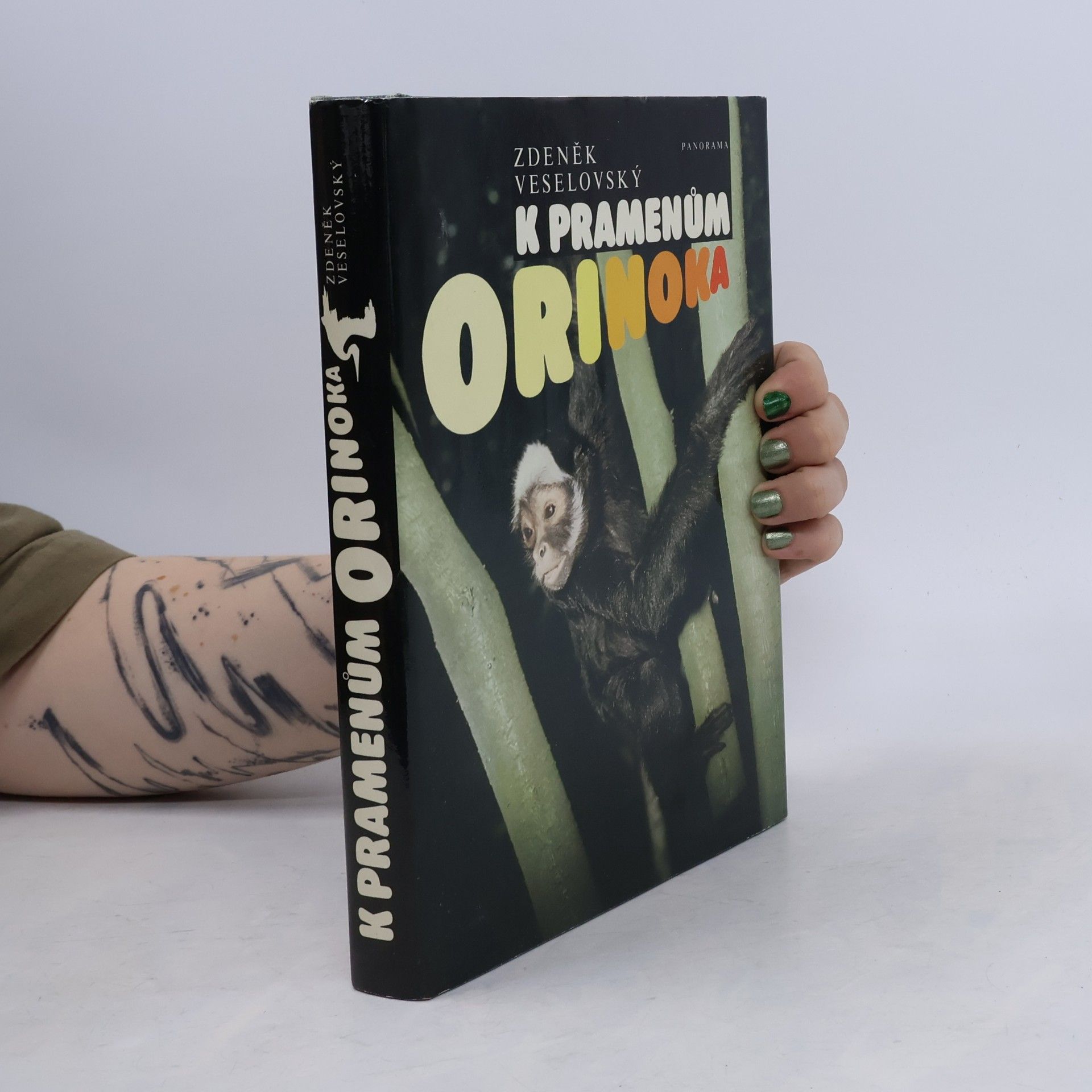 K pramenům Orinoka