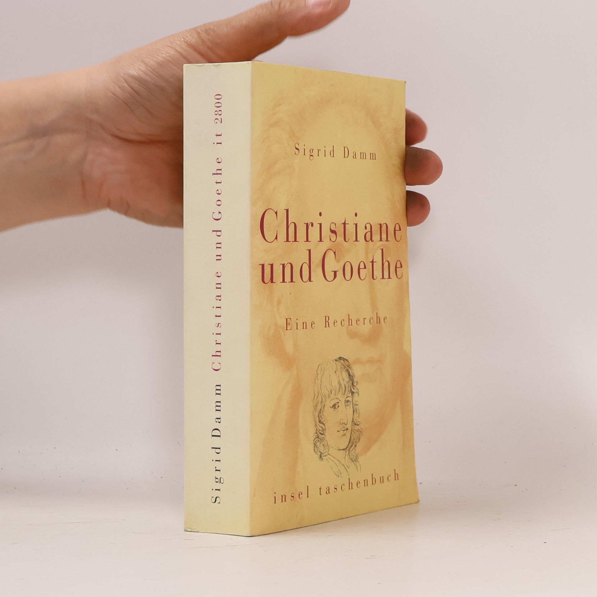 Sigrid Damm Christiane und Goethe