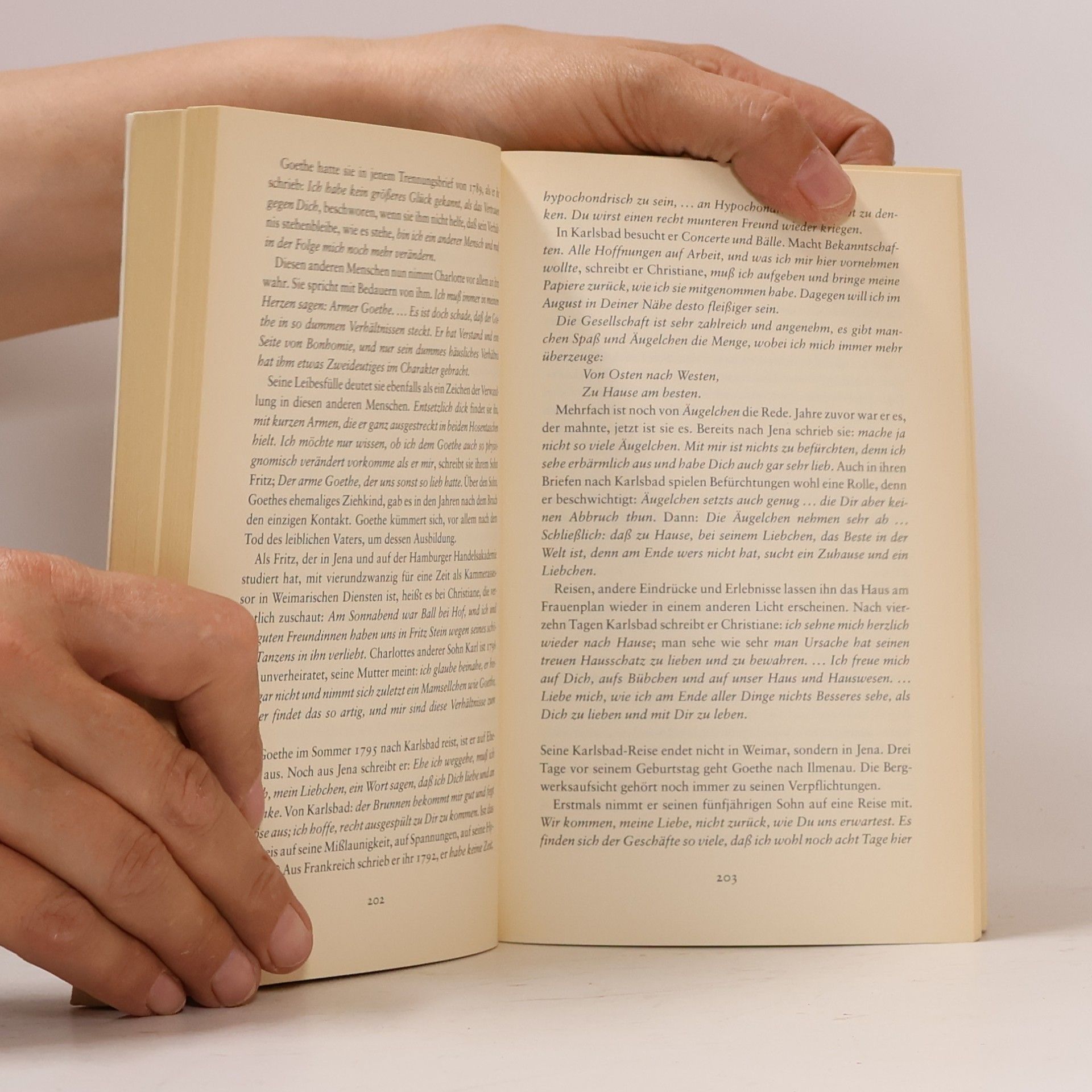 Sigrid Damm Christiane und Goethe