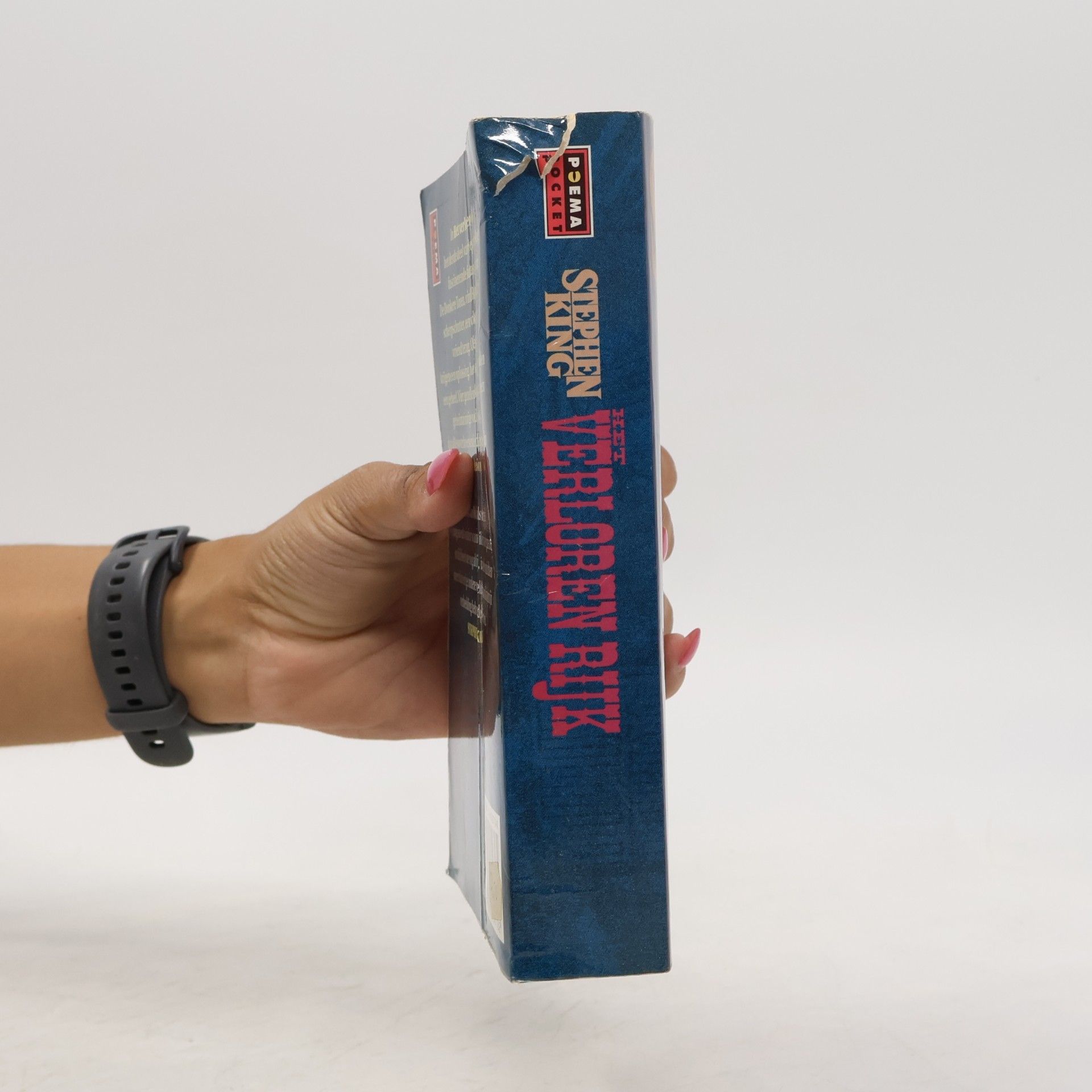 Stephen King De Donkere Toren - 3: Het verloren Rijk