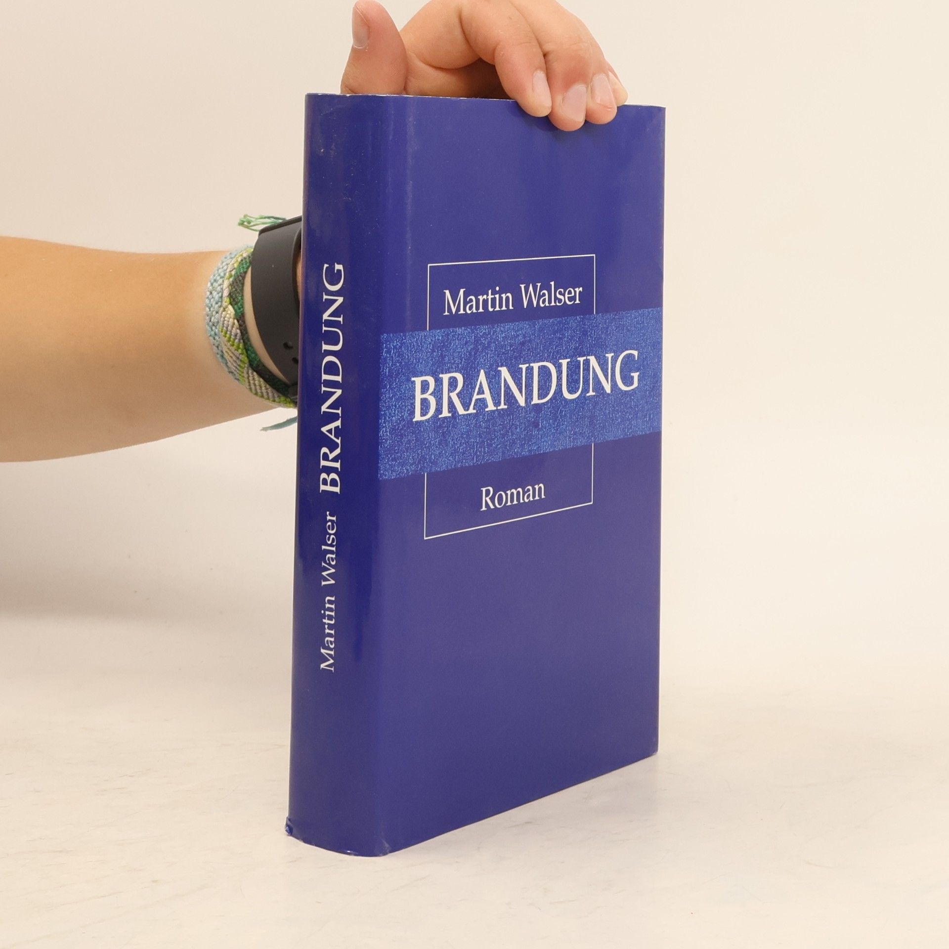 Martin Johannes Walser Brandung
