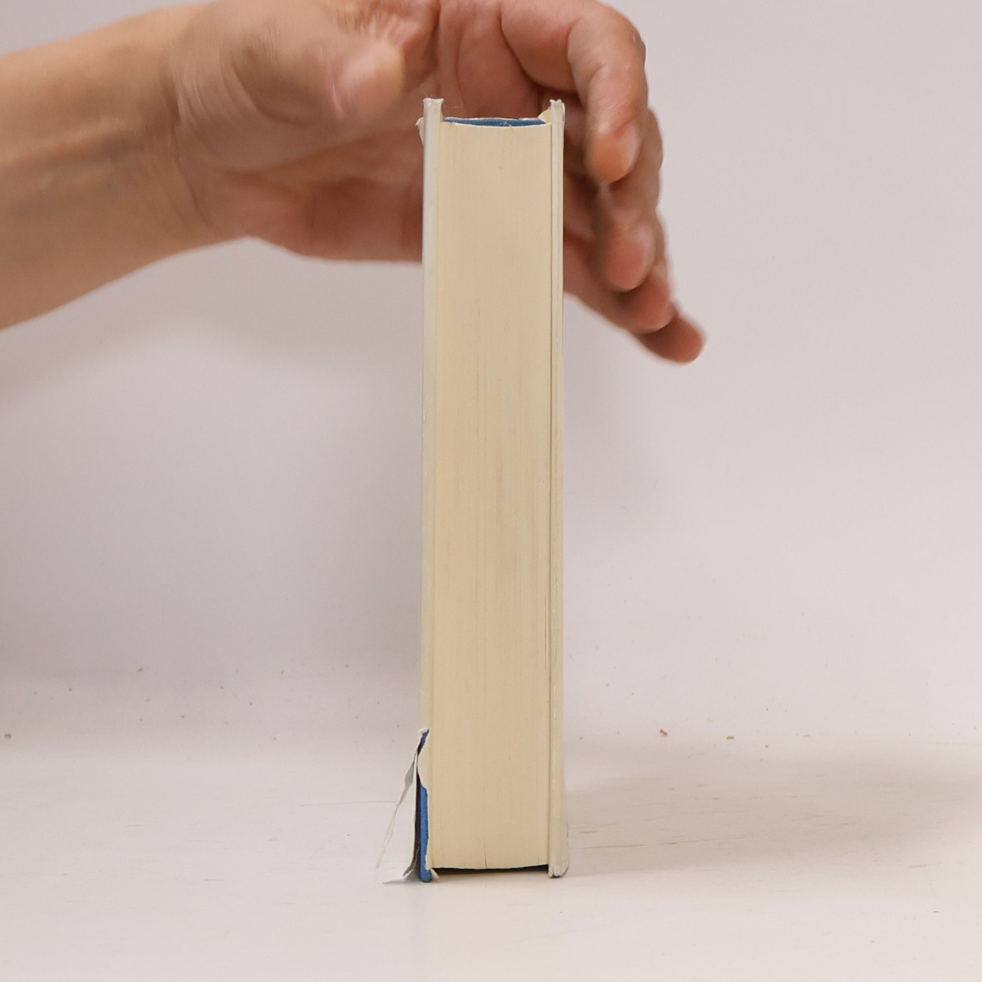 Samuel Pepys Tagebuch
