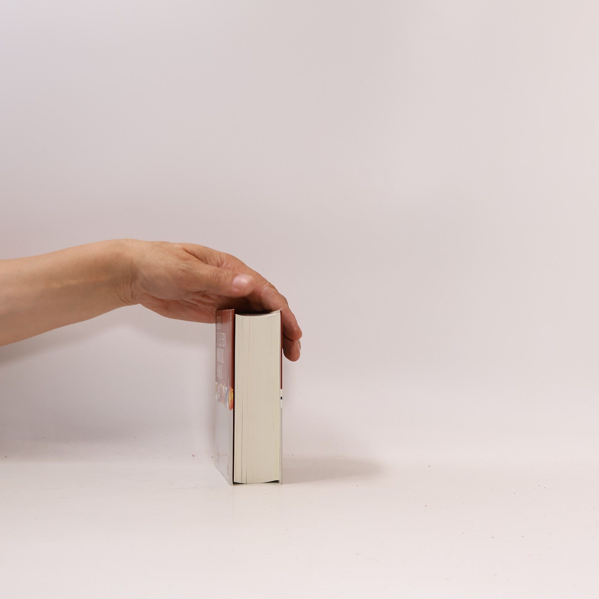 Ulrike Emrich Der Taschen-Brockhaus