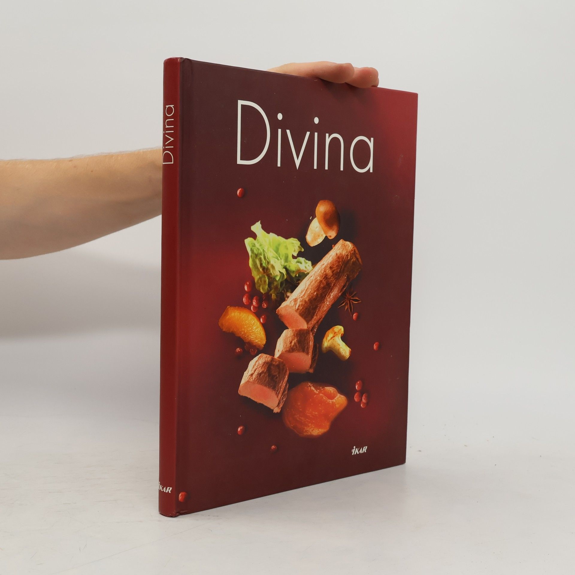Autorenkollektiv Divina
